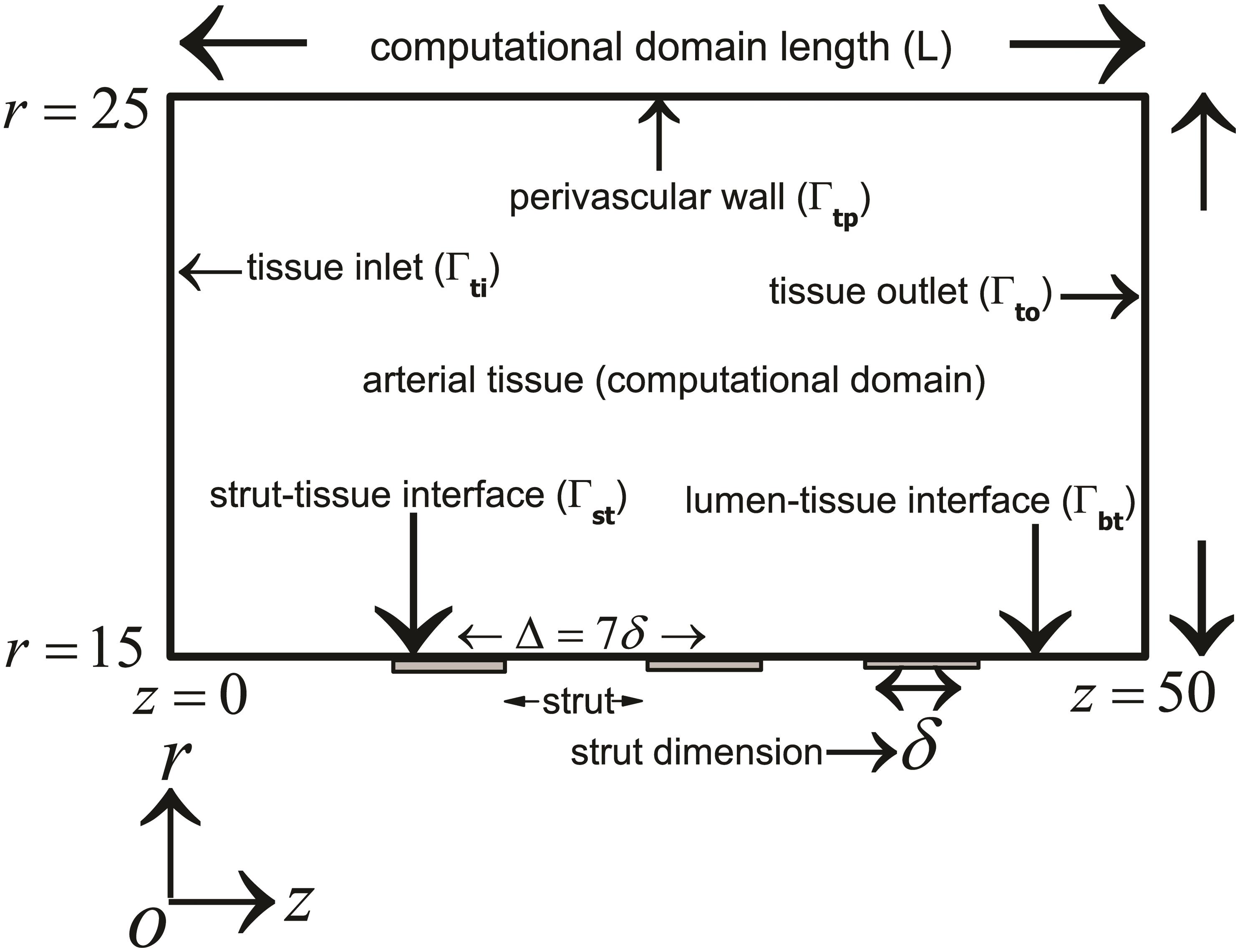 Schematic of the computational model used for the study.