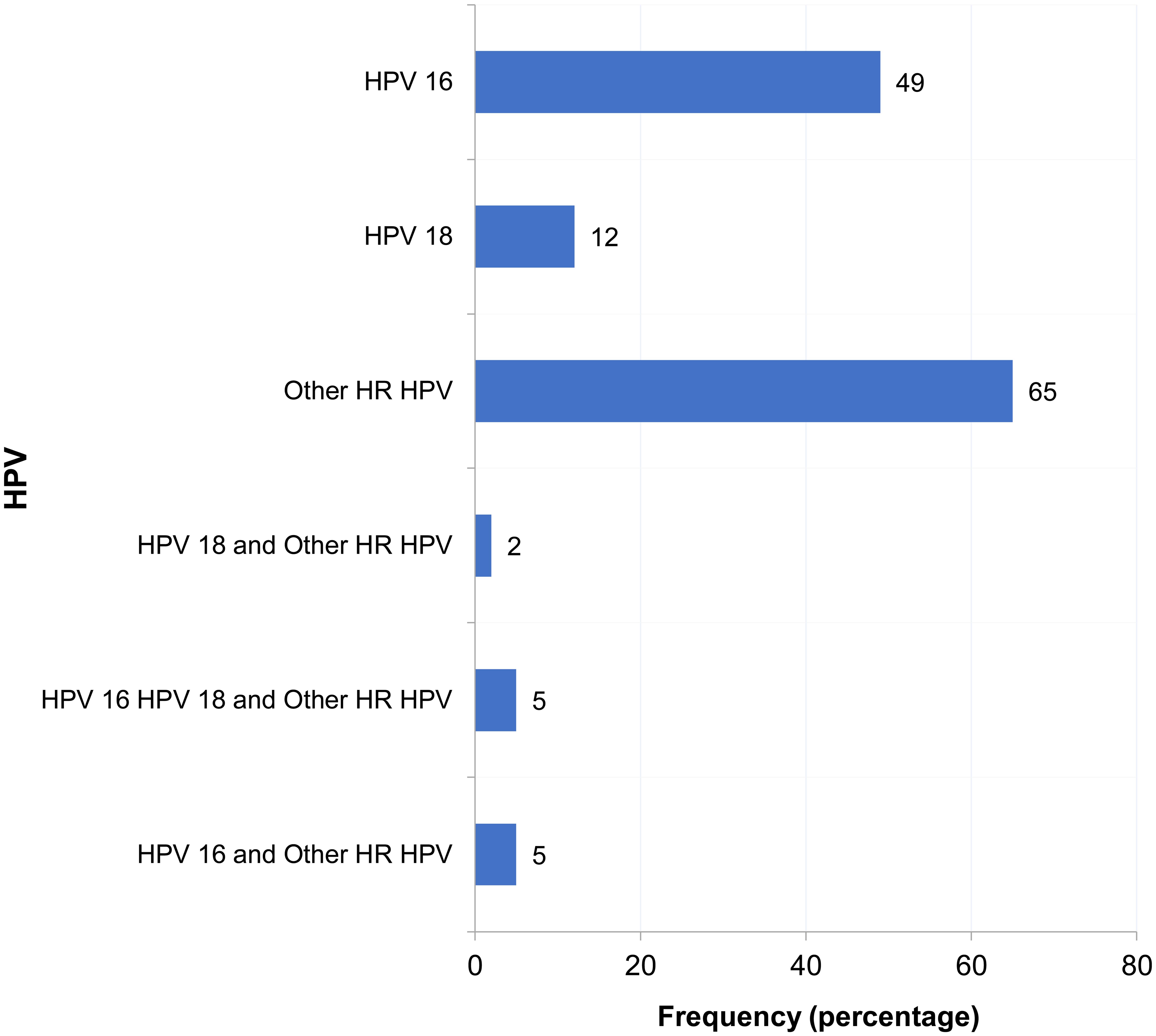 HR-HPV (high-risk human papillomavirus) genotypes among women with positive screening results (n = 138).