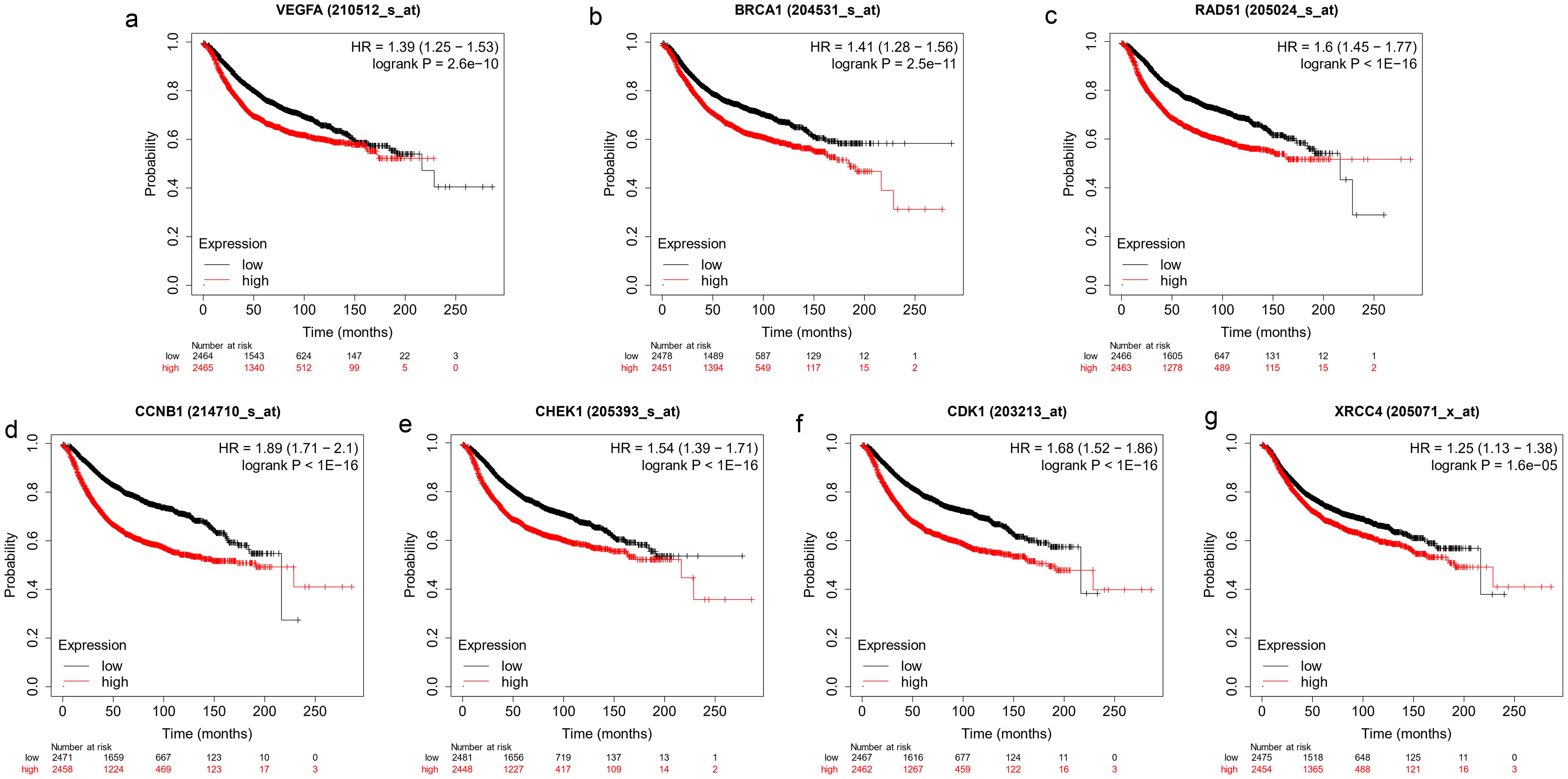 Kaplan-Meier survival curves illustrating the prognostic values of seven key genes in breast cancer.