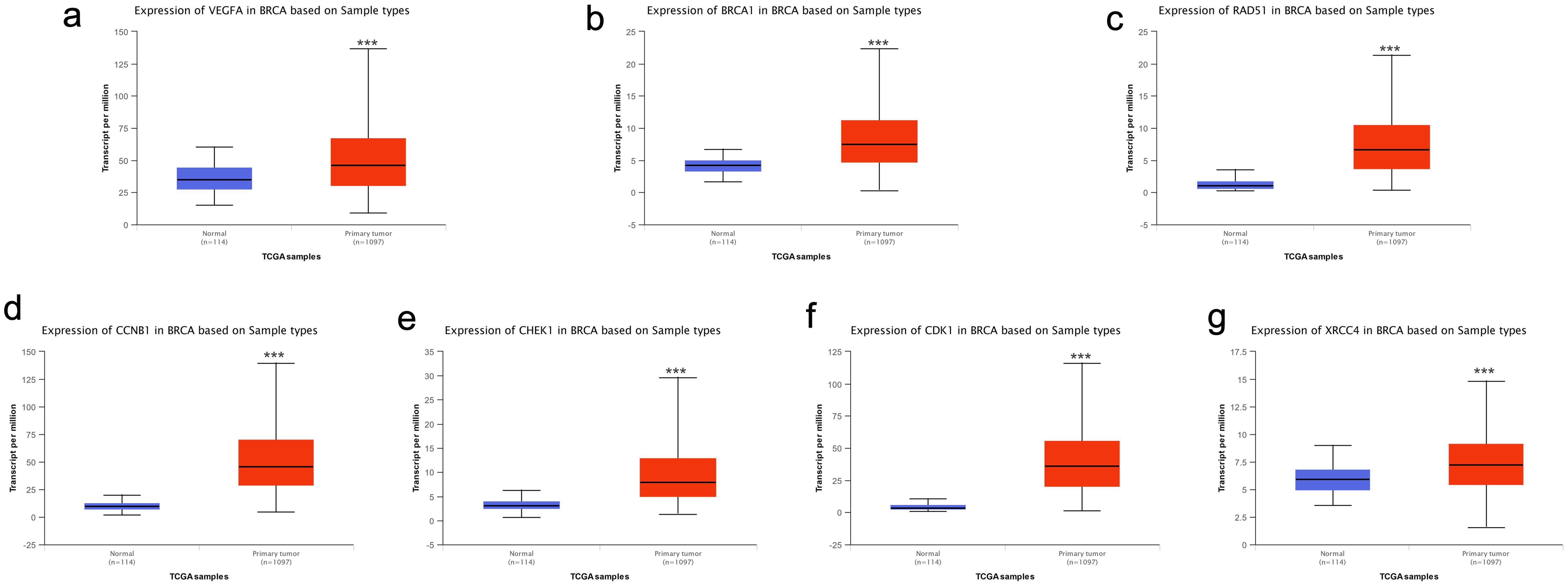 Expression validation in UALCAN database for seven genes (data from TCGA database).