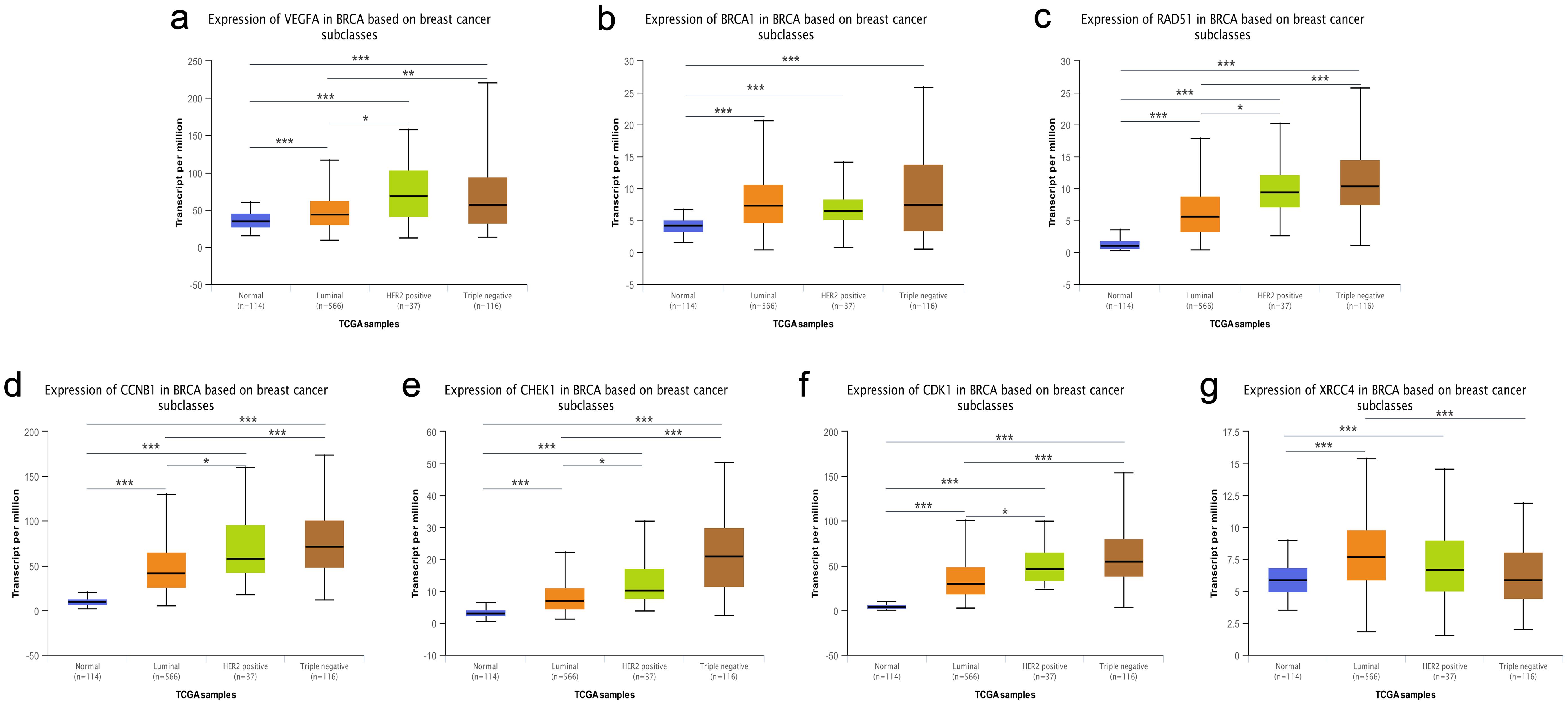 Relative expression of seven genes in normal tissues and BC tissues of different subclasses.