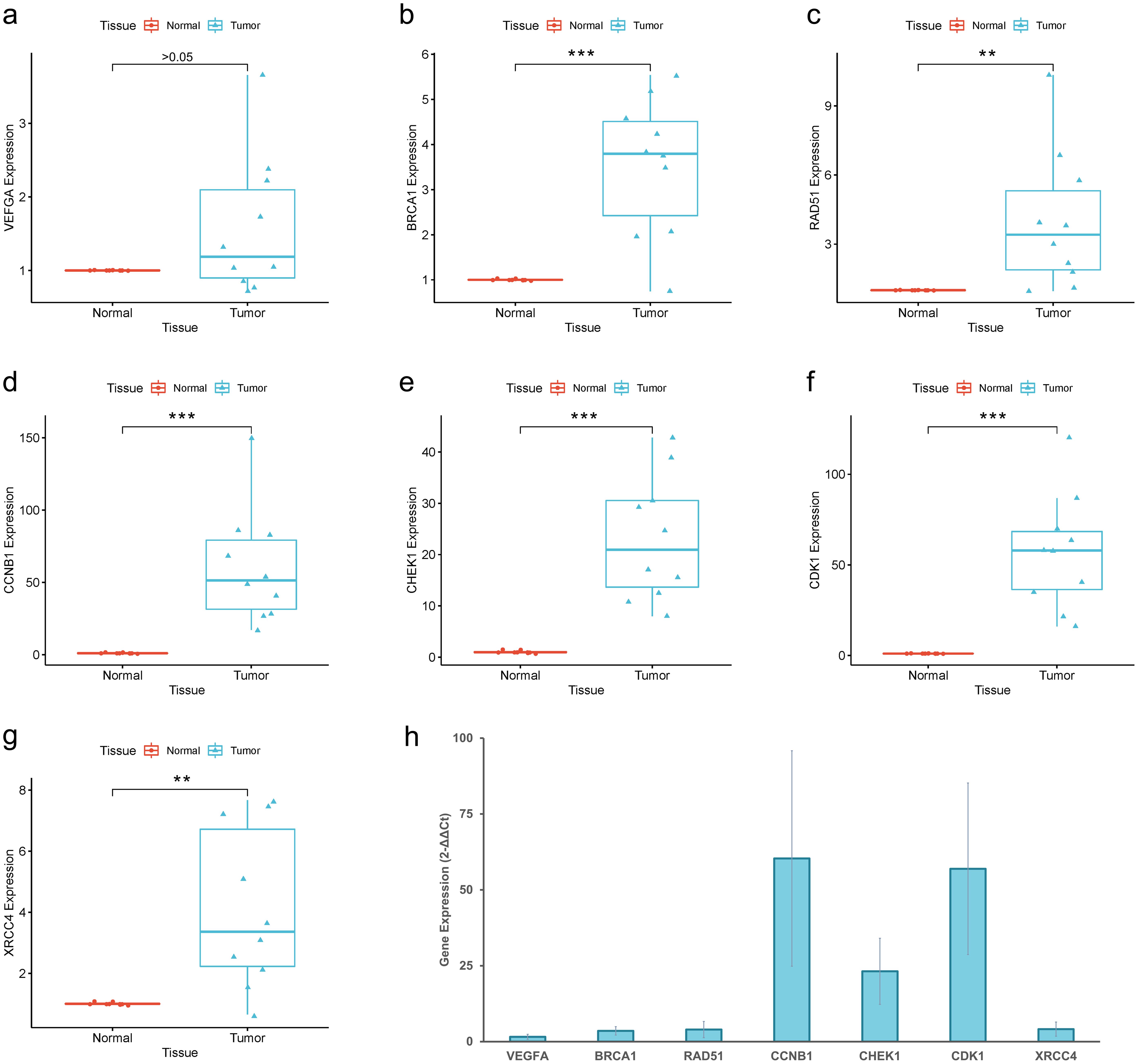 Quantitative real-time PCR results for the selected seven genes.