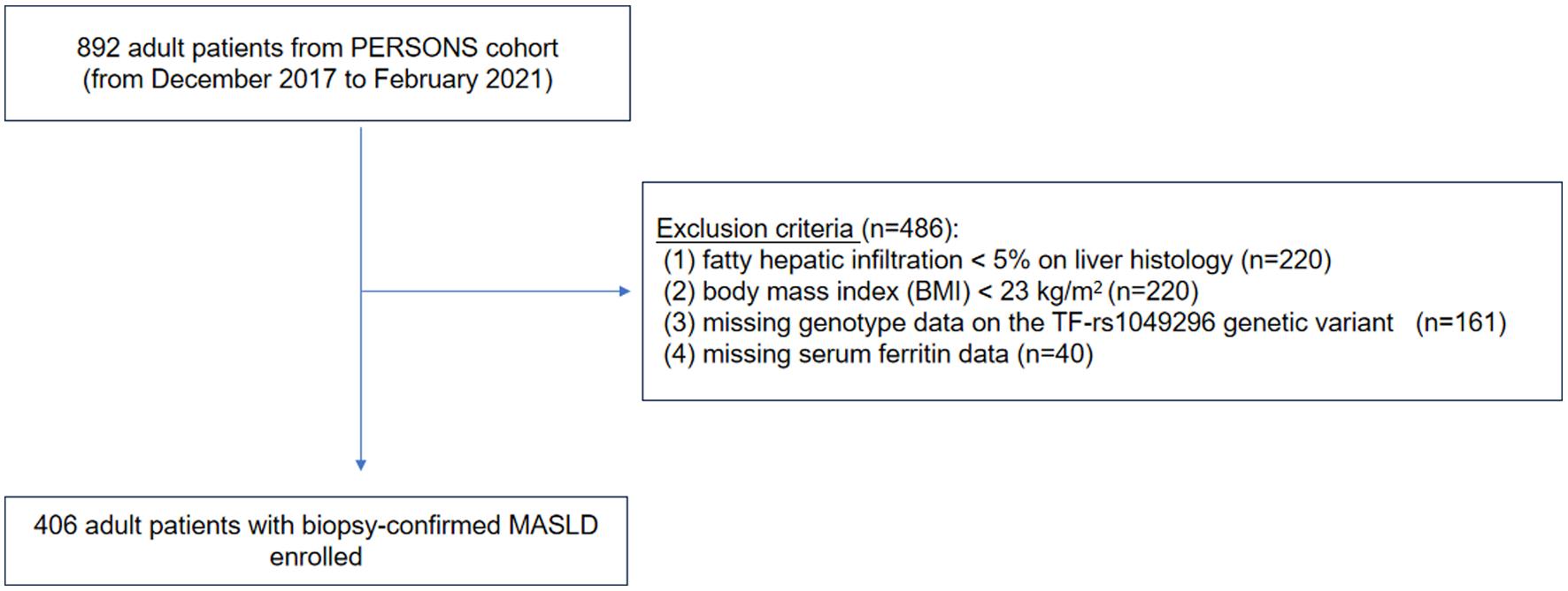Flowchart for the study.