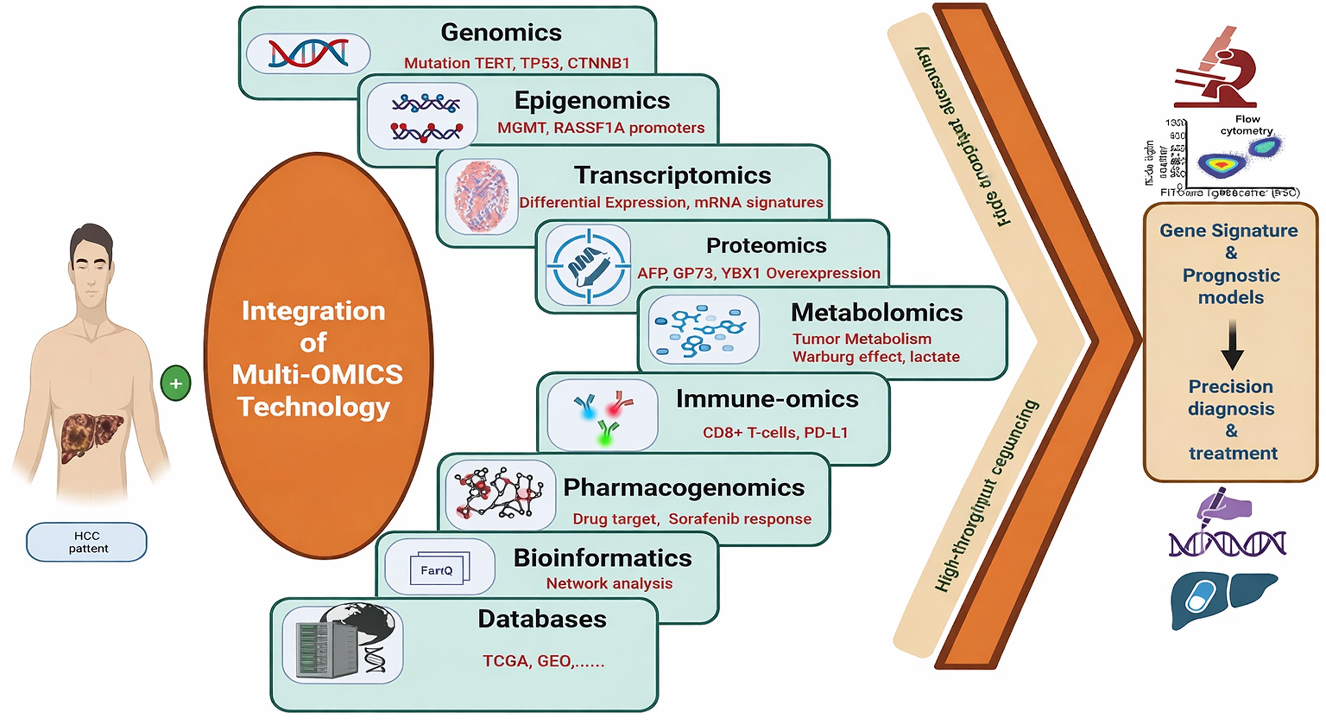 Multi-omics integration in hepatocellular carcinoma (HCC) (genomics, transcriptomics, proteomics & metabolomics).