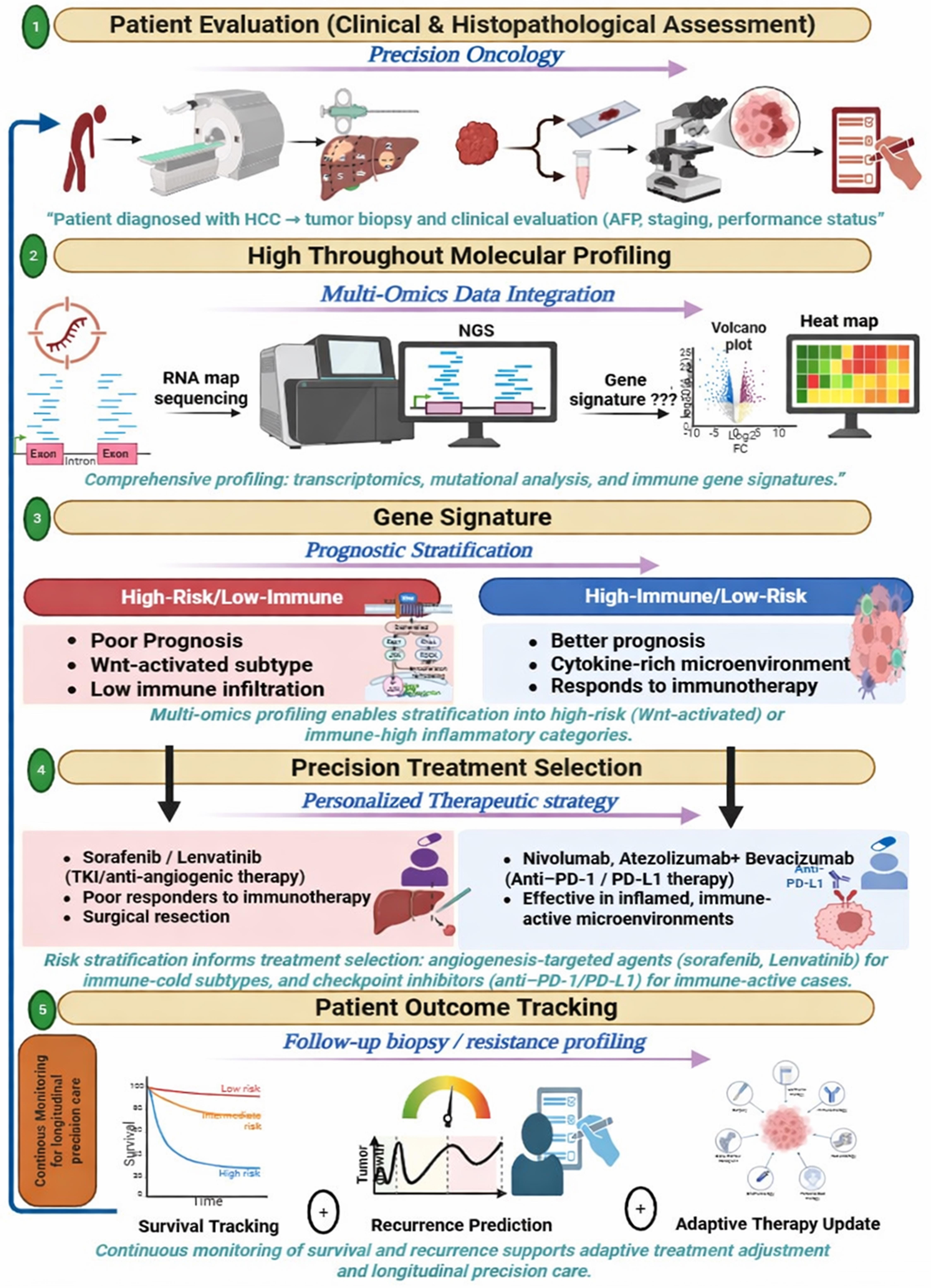 Precision oncology – Gene signature–guided therapy in hepatocellular carcinoma (HCC).