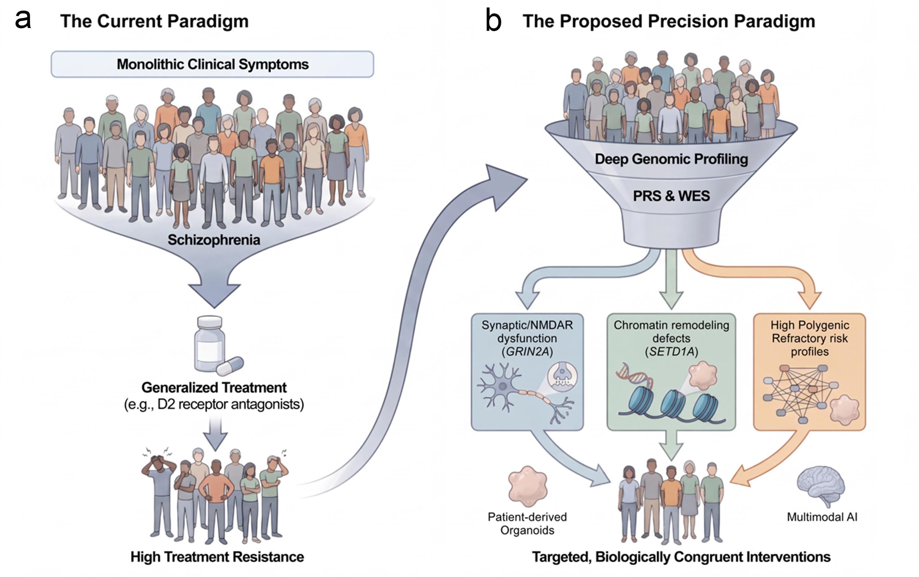 Conceptual shift from diagnostic genetics to mechanistic stratification in schizophrenia.