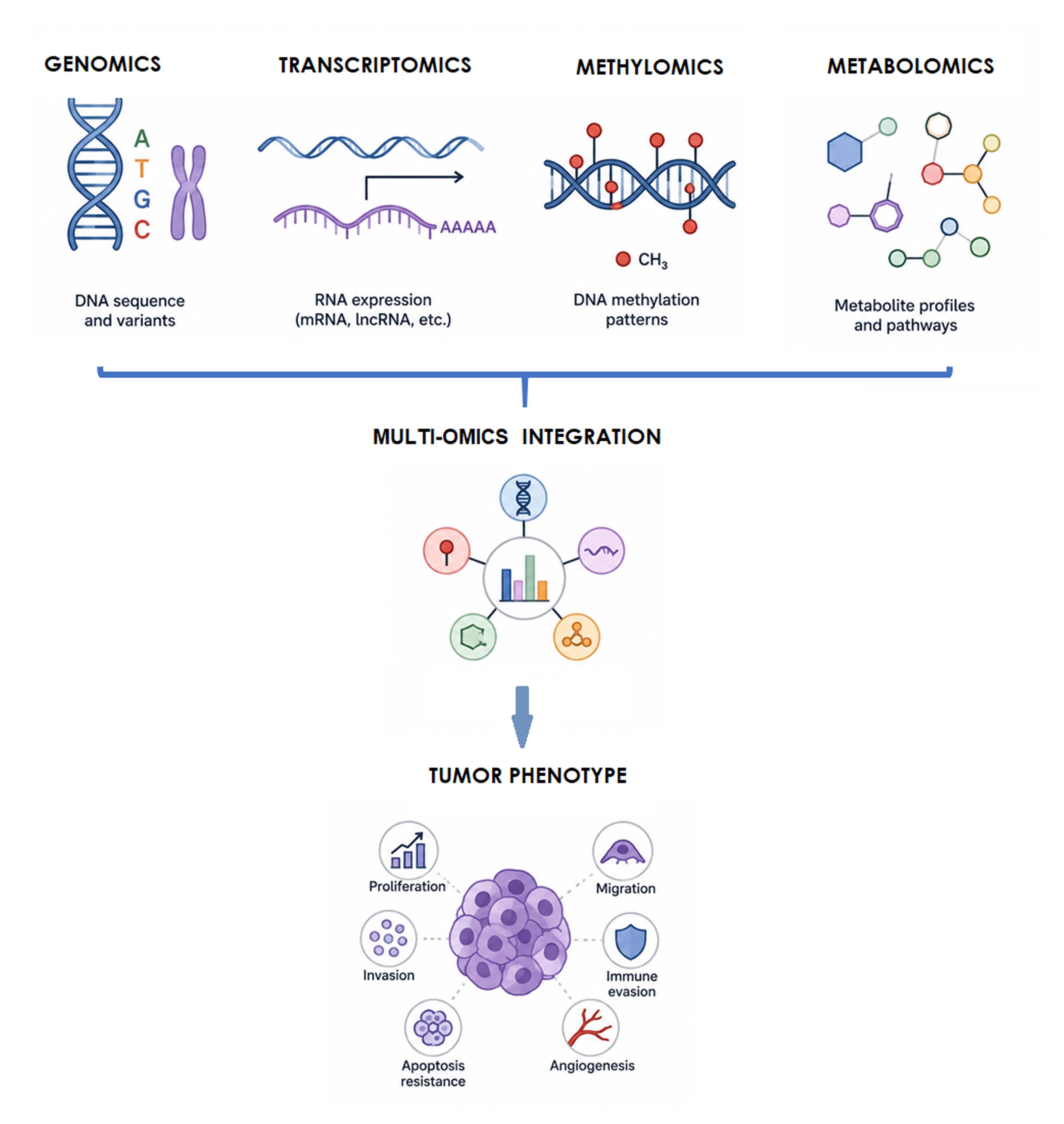 Integration of multi-omics data for mechanistic understanding.