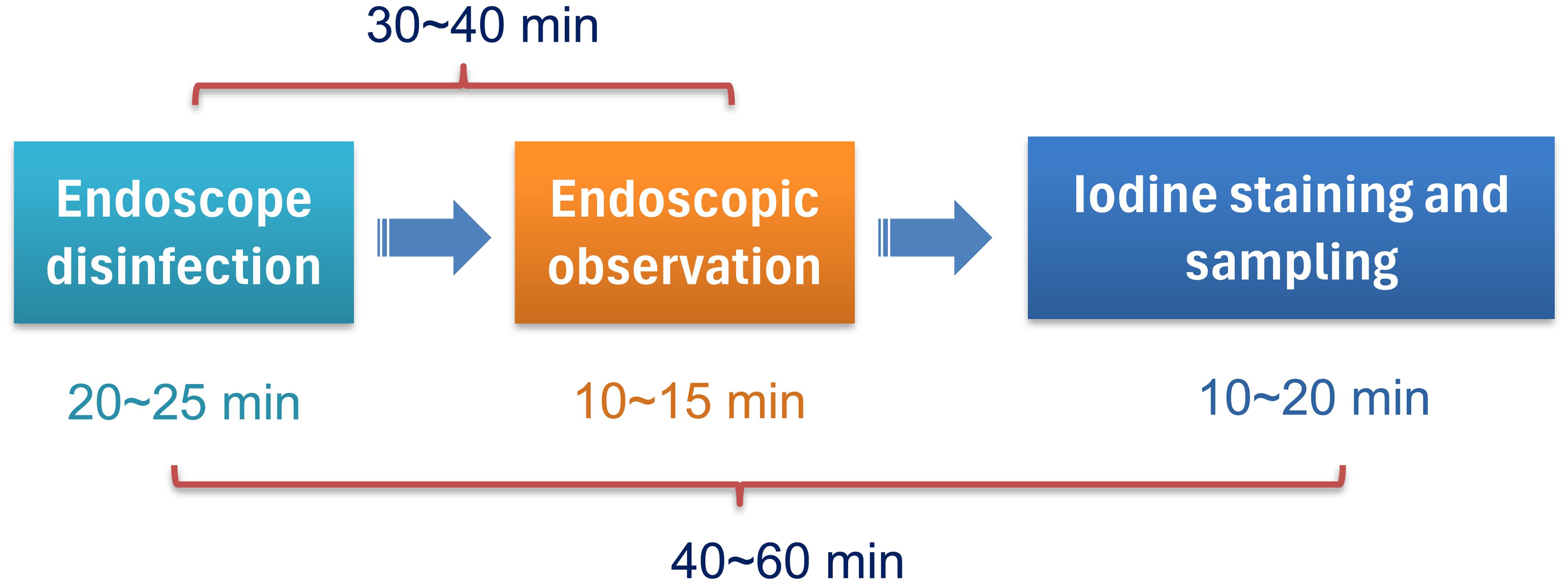 Endoscope procedure.