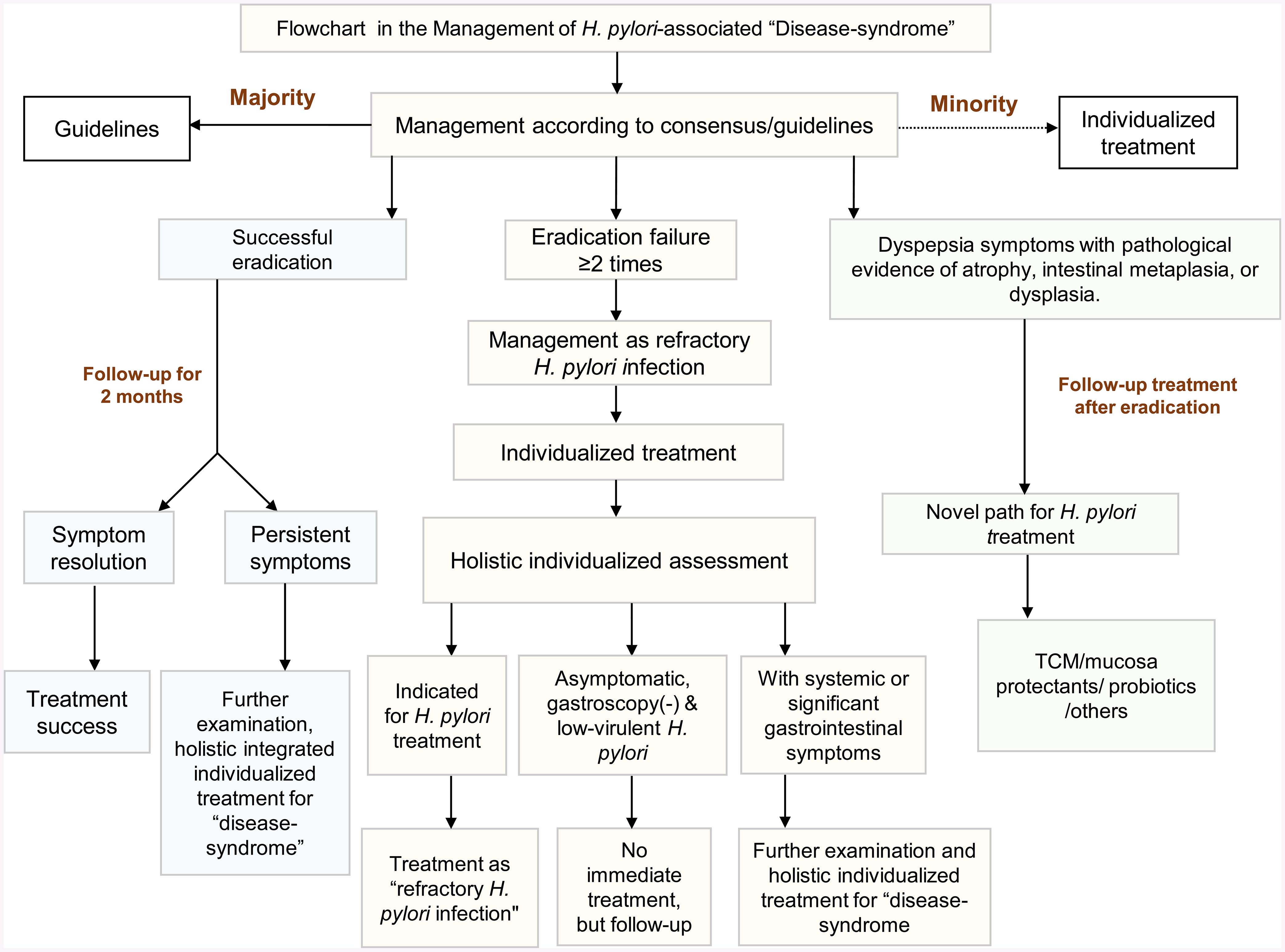Flowchart in the management of <italic>Helicobacter pylori</italic>-associated “disease-syndrome” (original work).