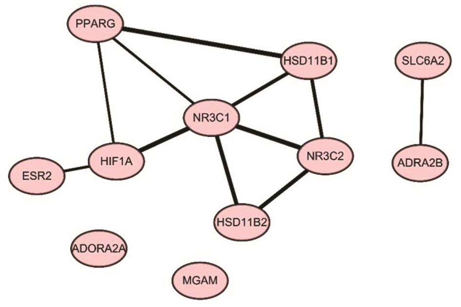 XSJ and hypertension-related targets’ protein-protein interaction network.