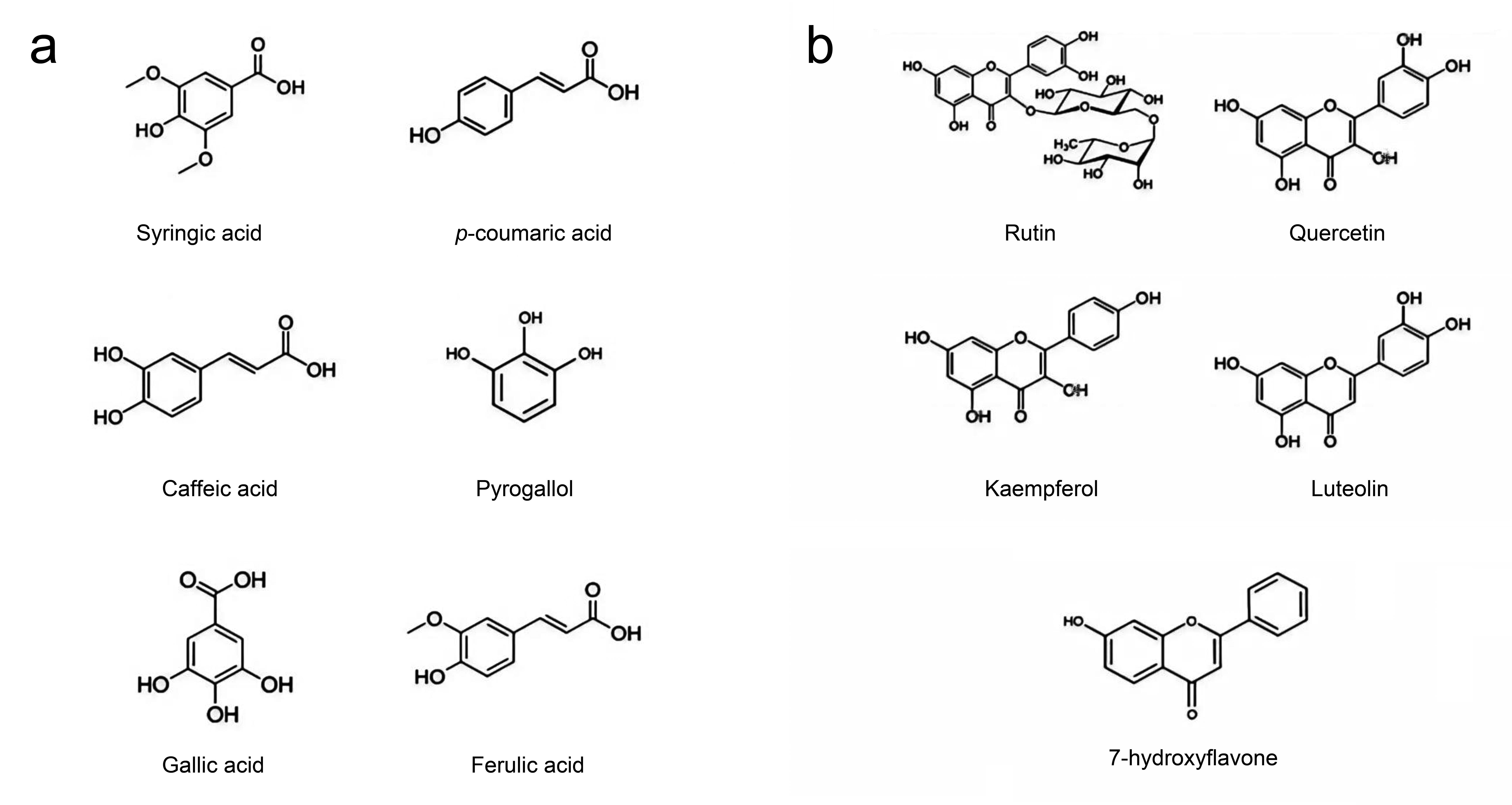 Chemical structure of the phenolics commonly identified in ethanol extract (EE) of <italic>E. cuneata</italic> (a) and chemical structure of the flavonoids commonly identified in EE of <italic>E. cuneata</italic> (b)<italic>.</italic>