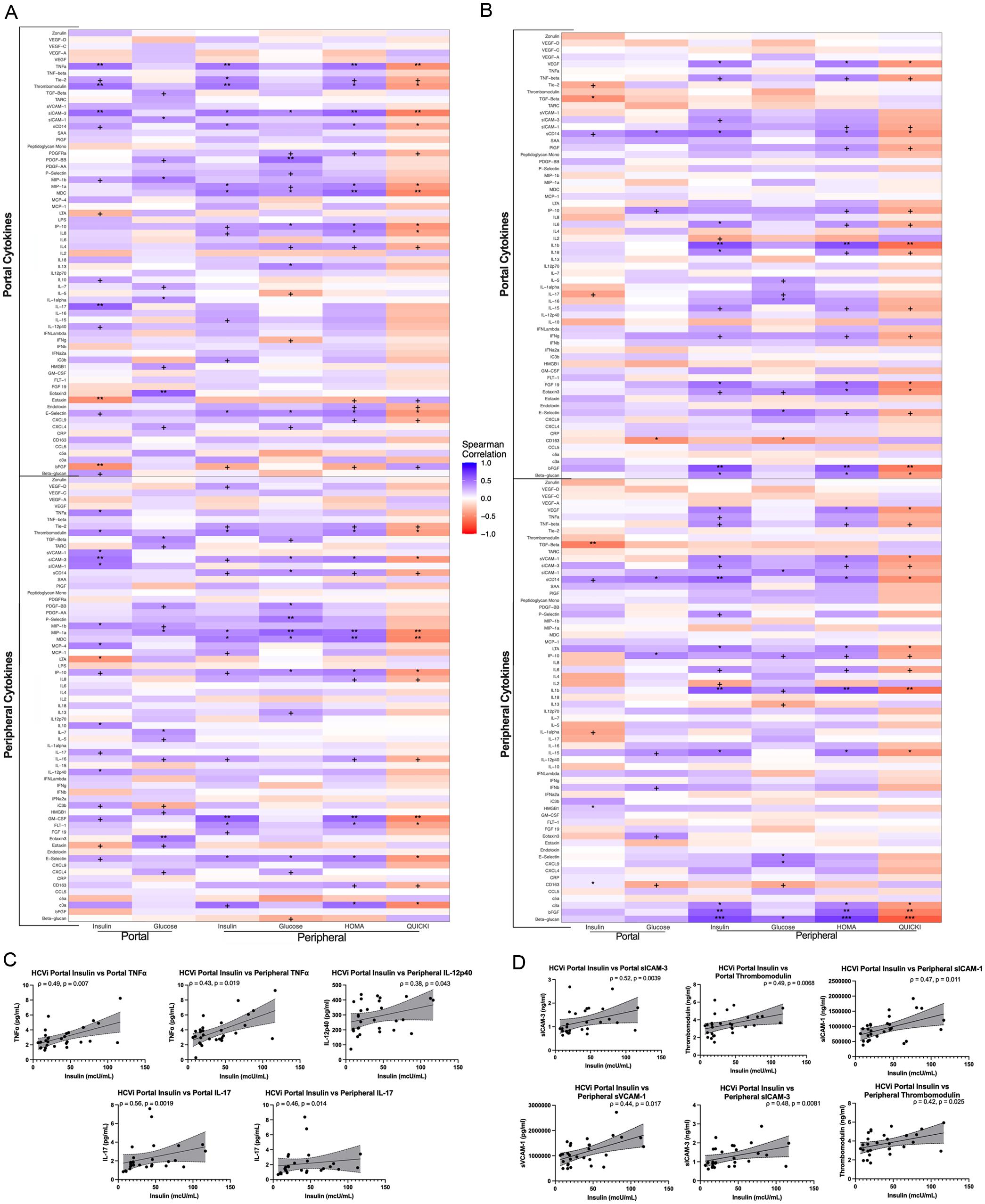 Relationships between portal insulin and proinflammatory and vascular damage cytokines.