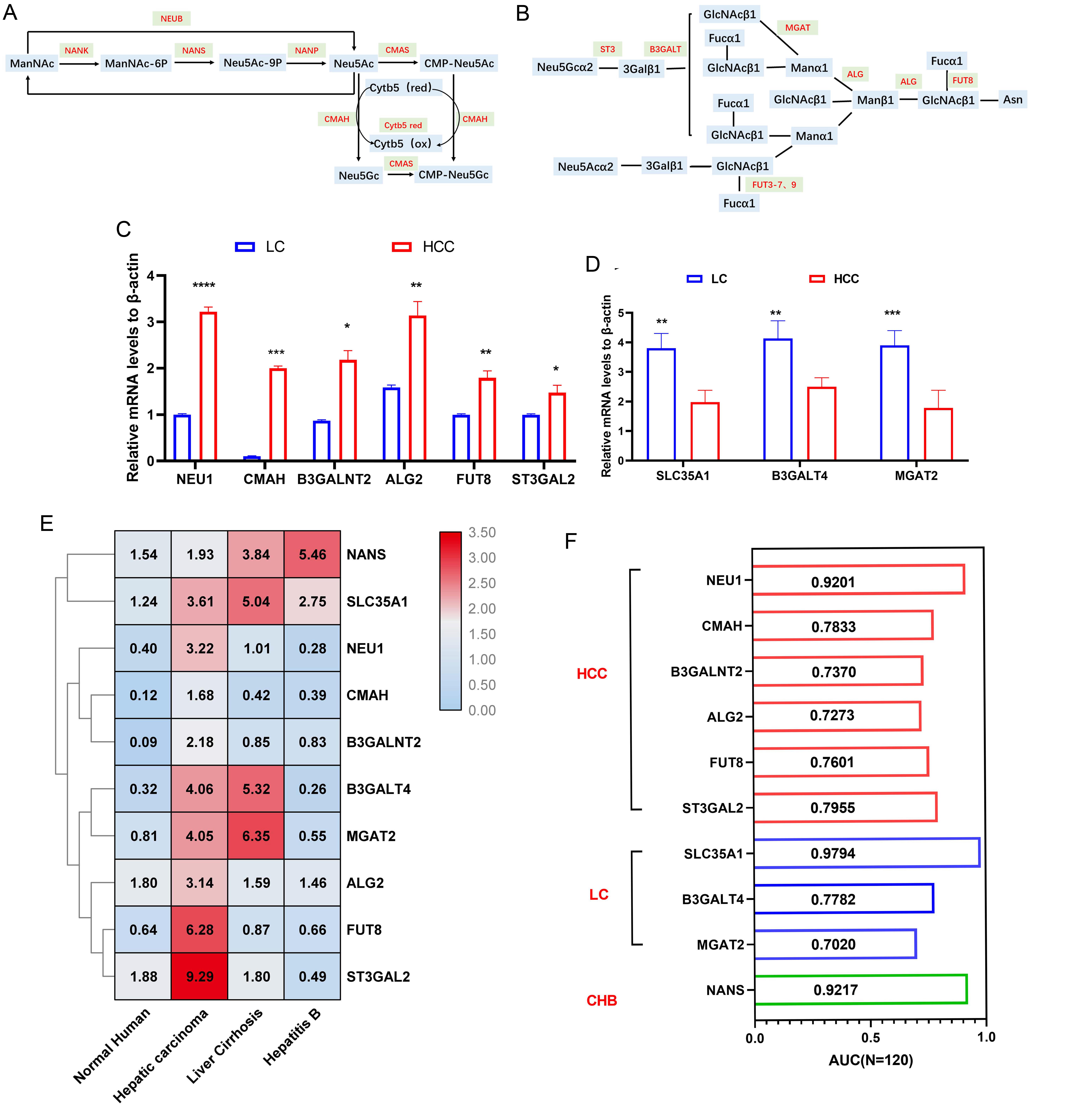 Screening and validation of glycosylation-associated gene panels for multi-target differential diagnosis of HCC.