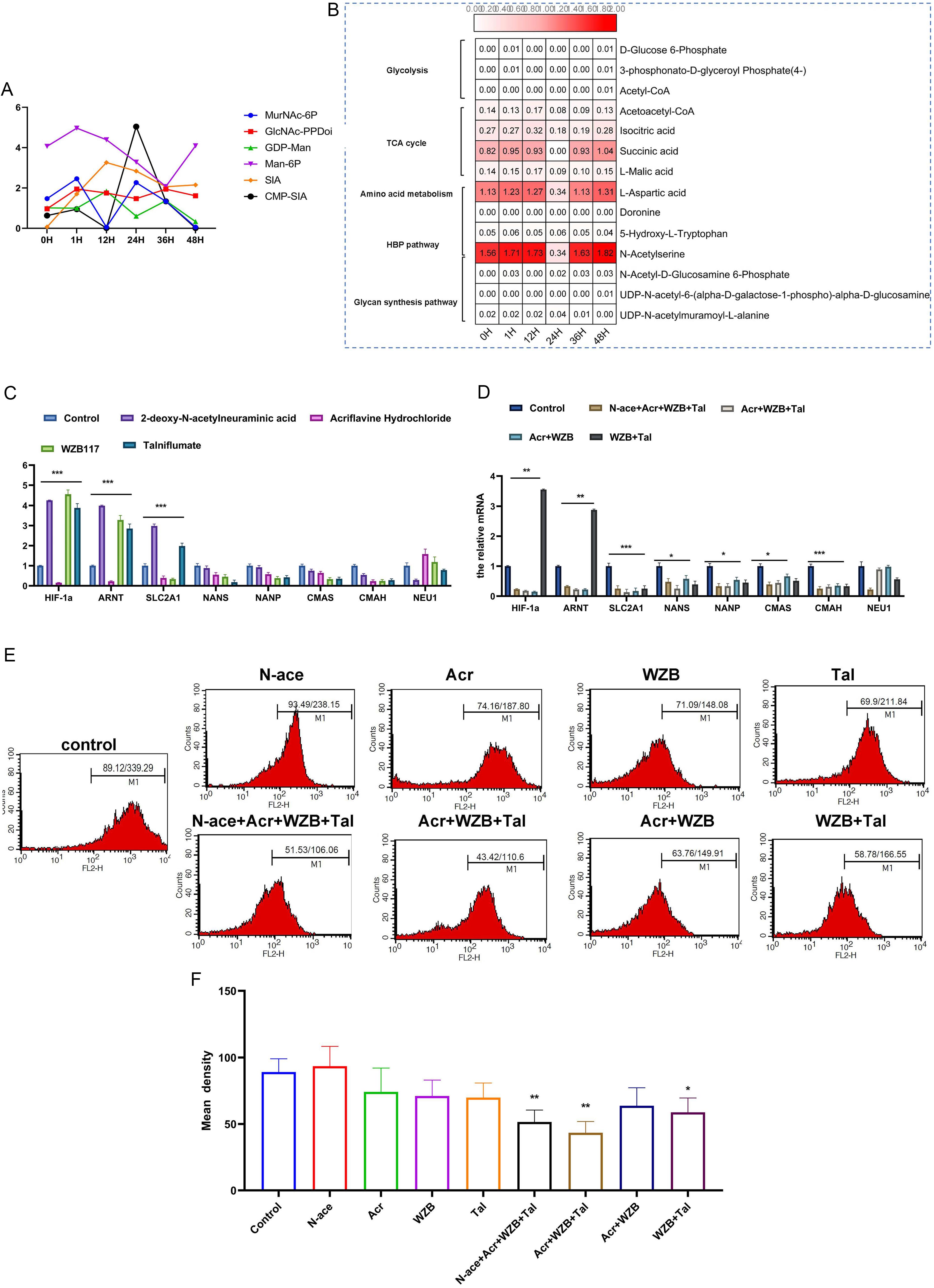 Statistics of sialic acid intermediate metabolites based on time-series non-targeted metabolomics.