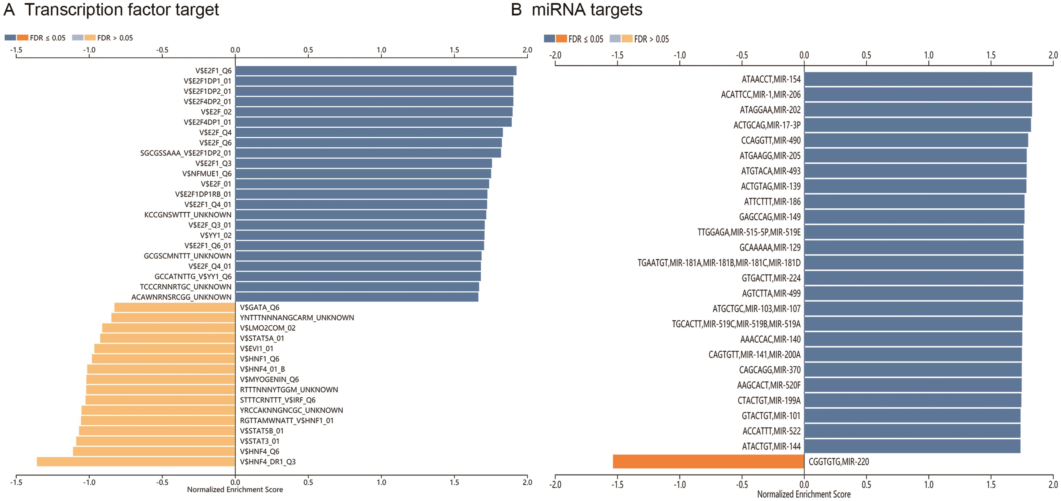 MiRNA and transcription factor targets related to <italic>SNHG4</italic> in HCC (LinkedOmics).