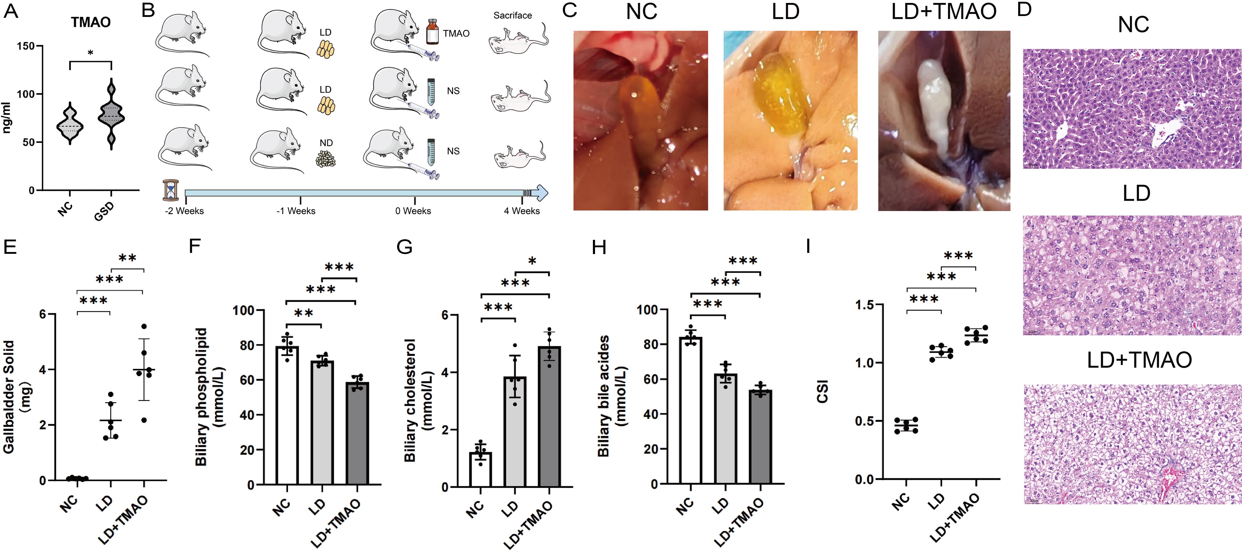 Effects of TMAO on cholesterol metabolism and lithogenesis in mice.