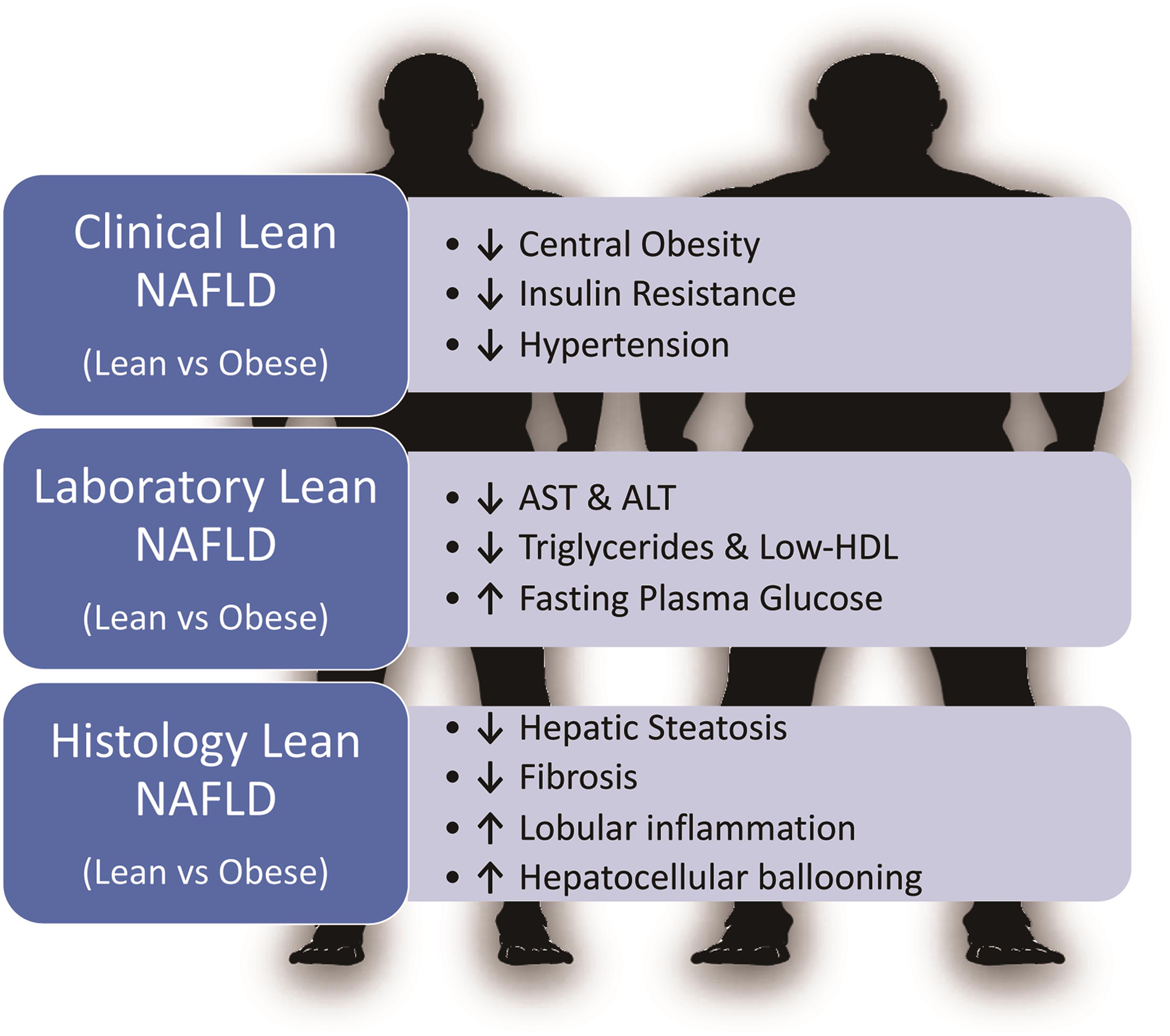 Comparison of clinical, laboratory, and histology in lean/nonobese NAFLD and obese NAFLD.