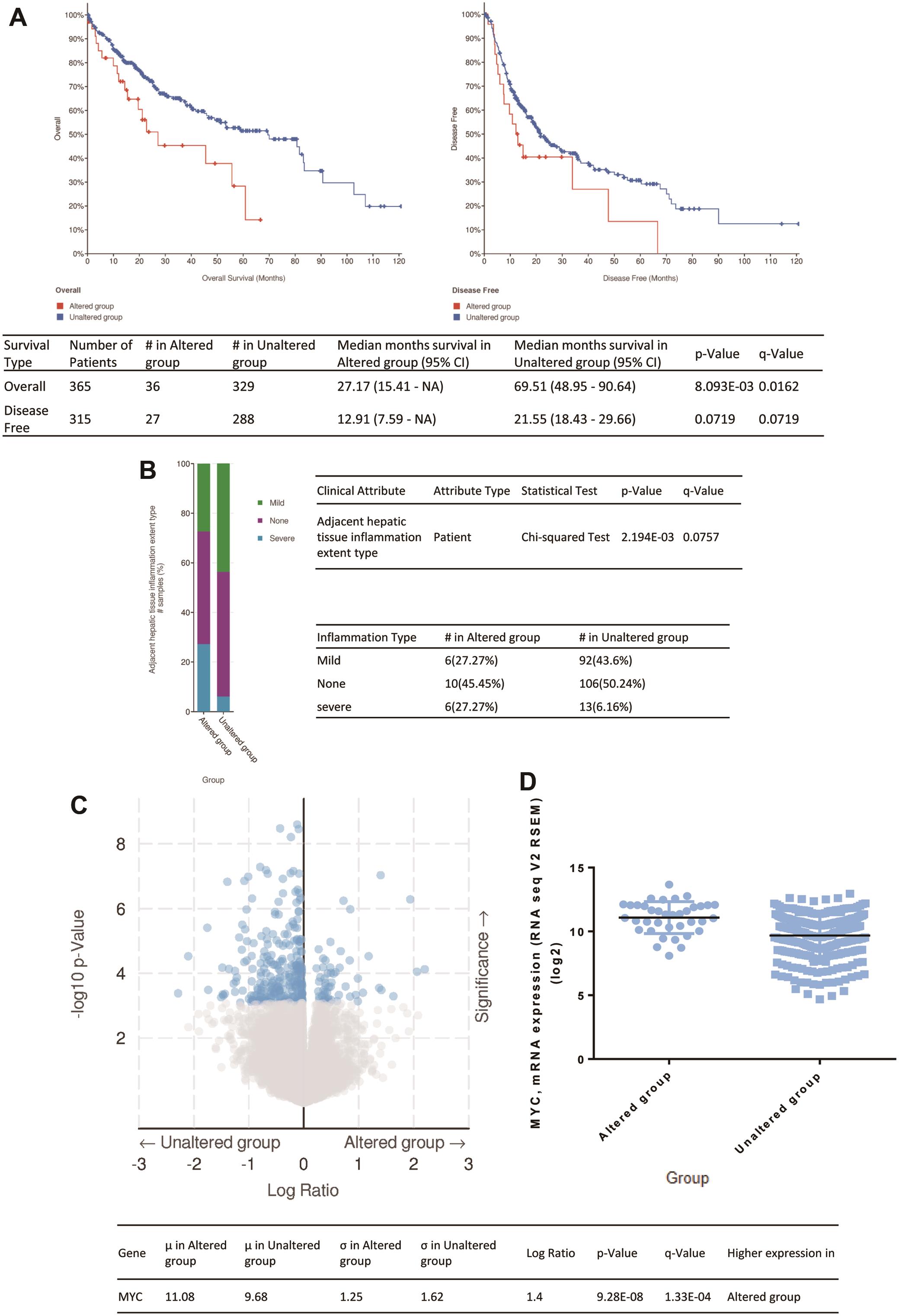 An <italic>ARID1A</italic> mutation was associated with a poorer prognosis in HCC patients.