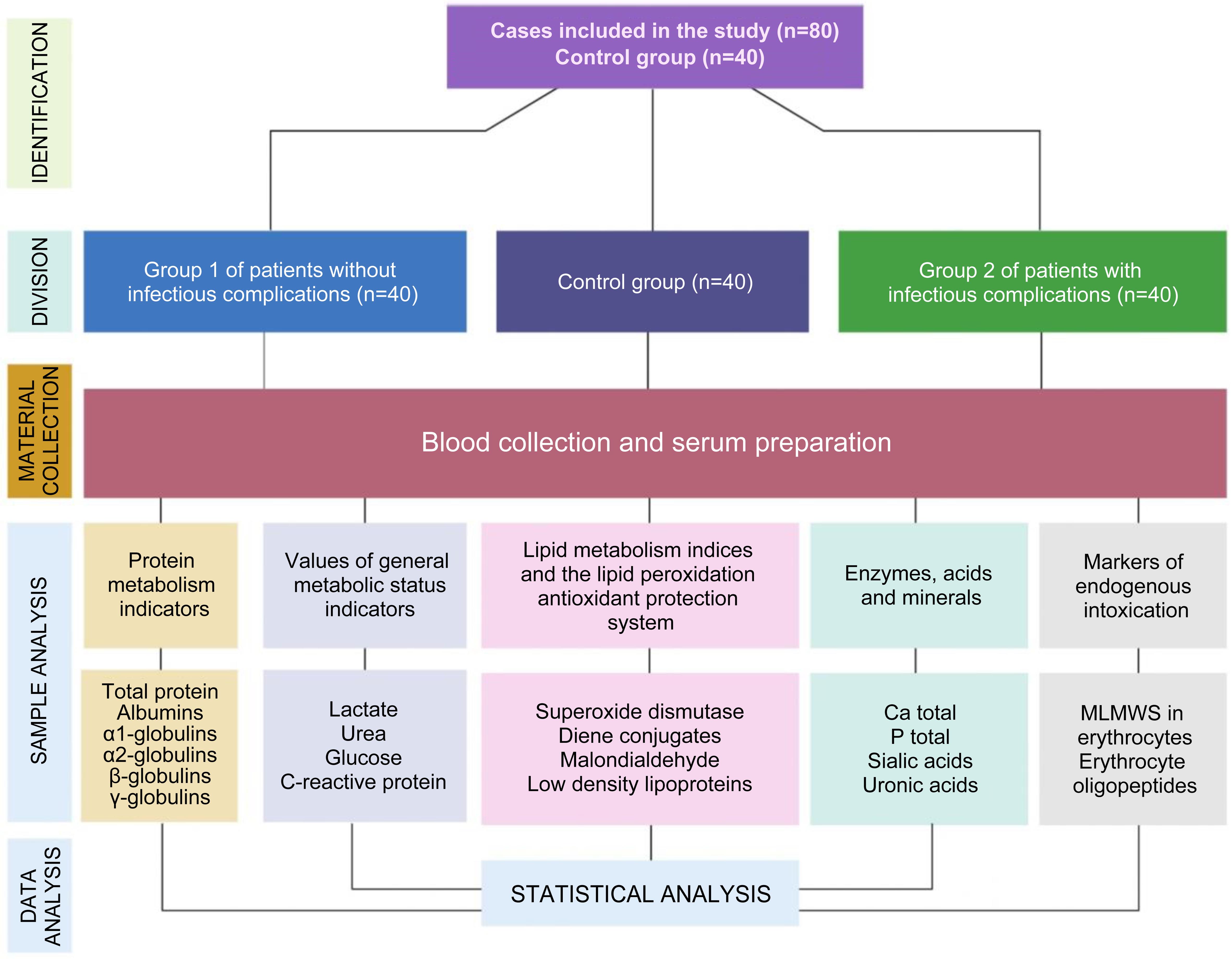 Flow chart showing the study design.
