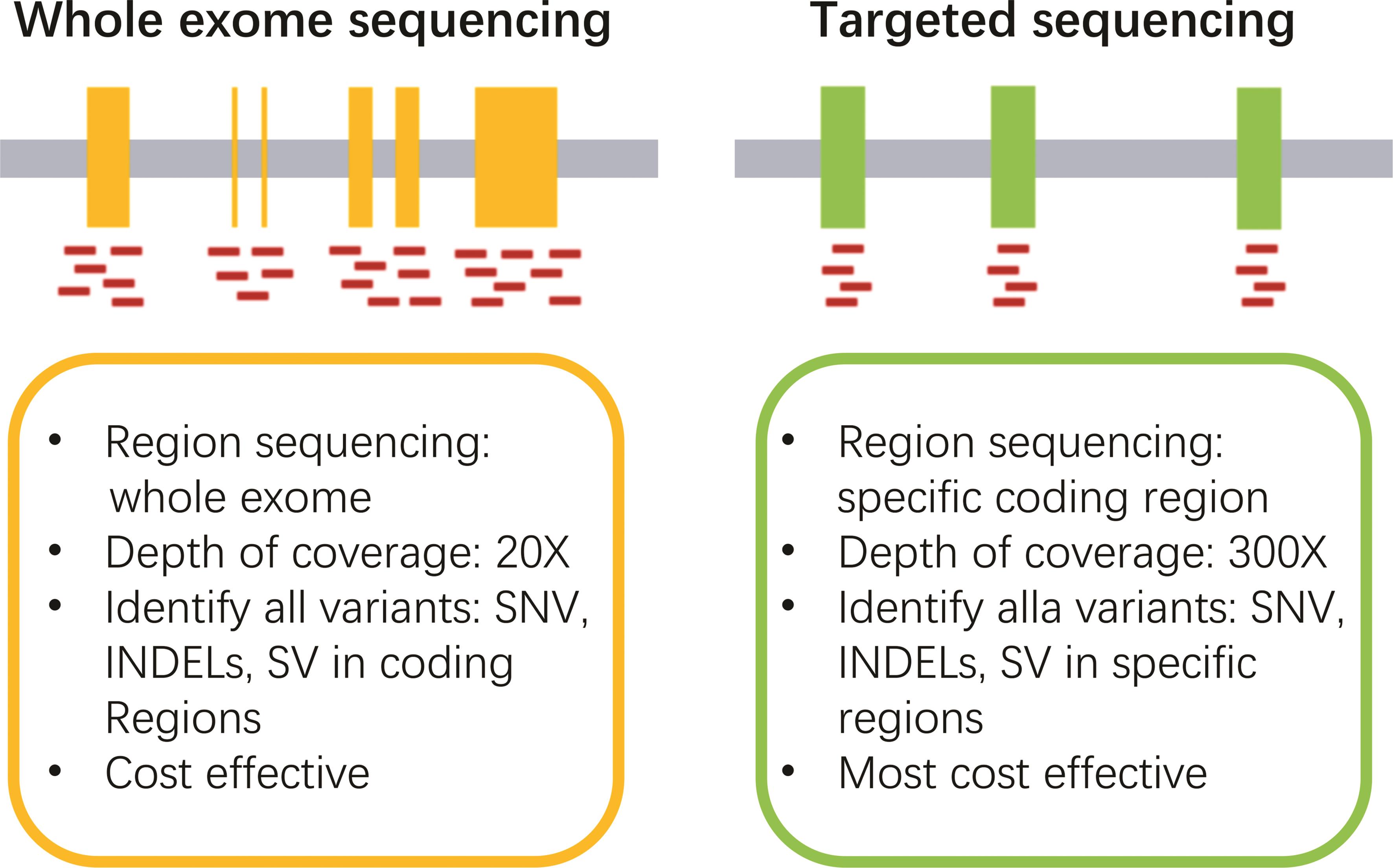 Different properties of WES and Target Sequencing.
