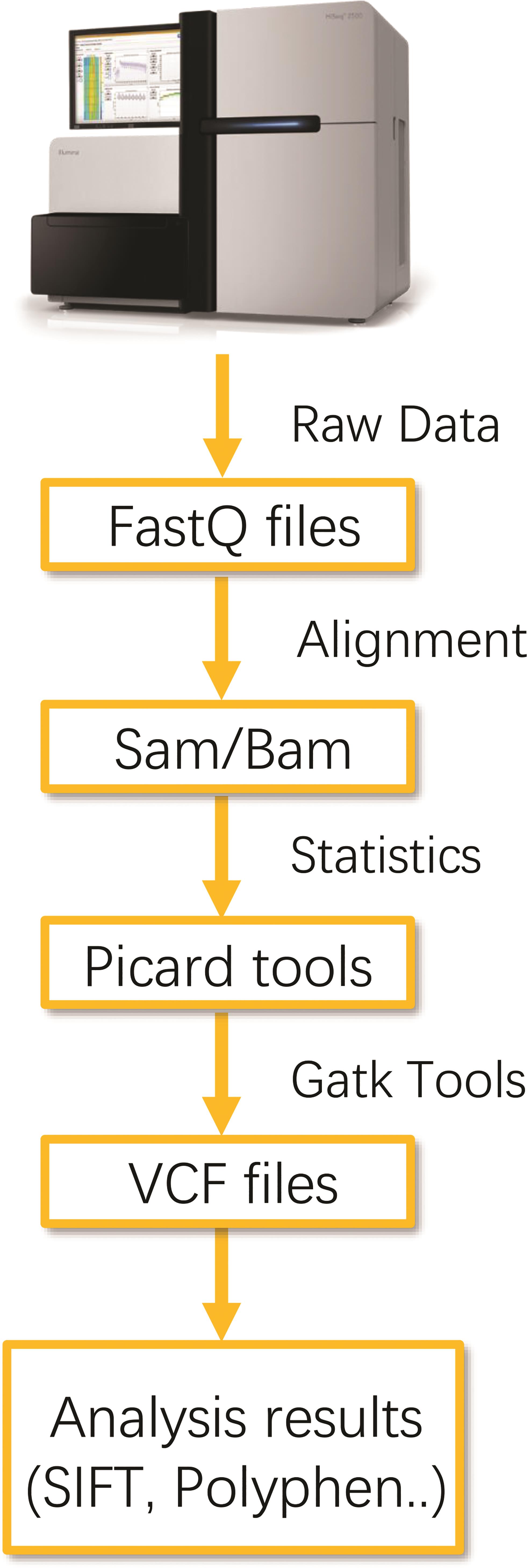 NGS pipeline: Fastq files are mapping versus genomic reference to obtain SAM/BAM files.