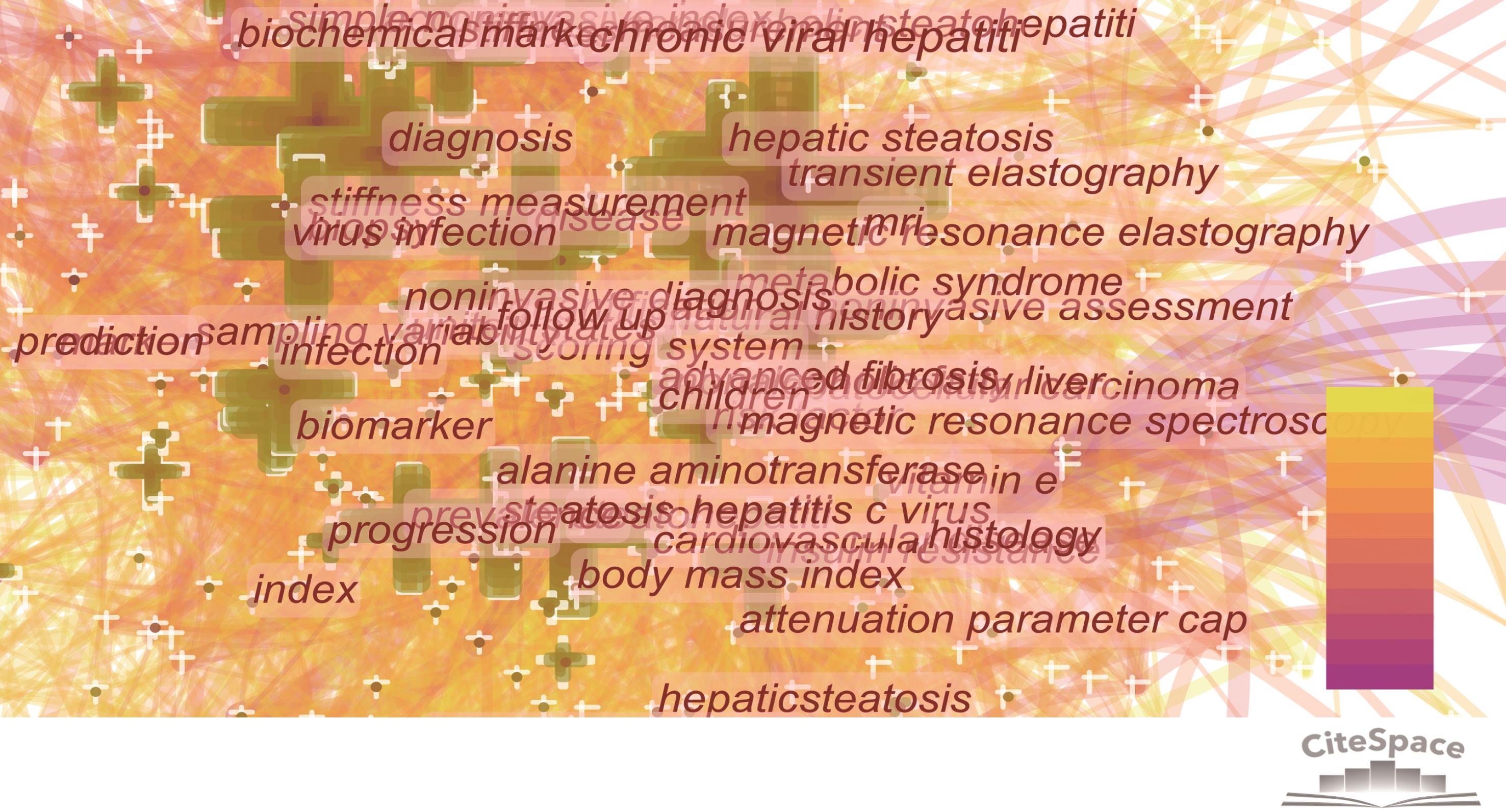 Co-occurrence map of keywords related to TE in NAFLD.