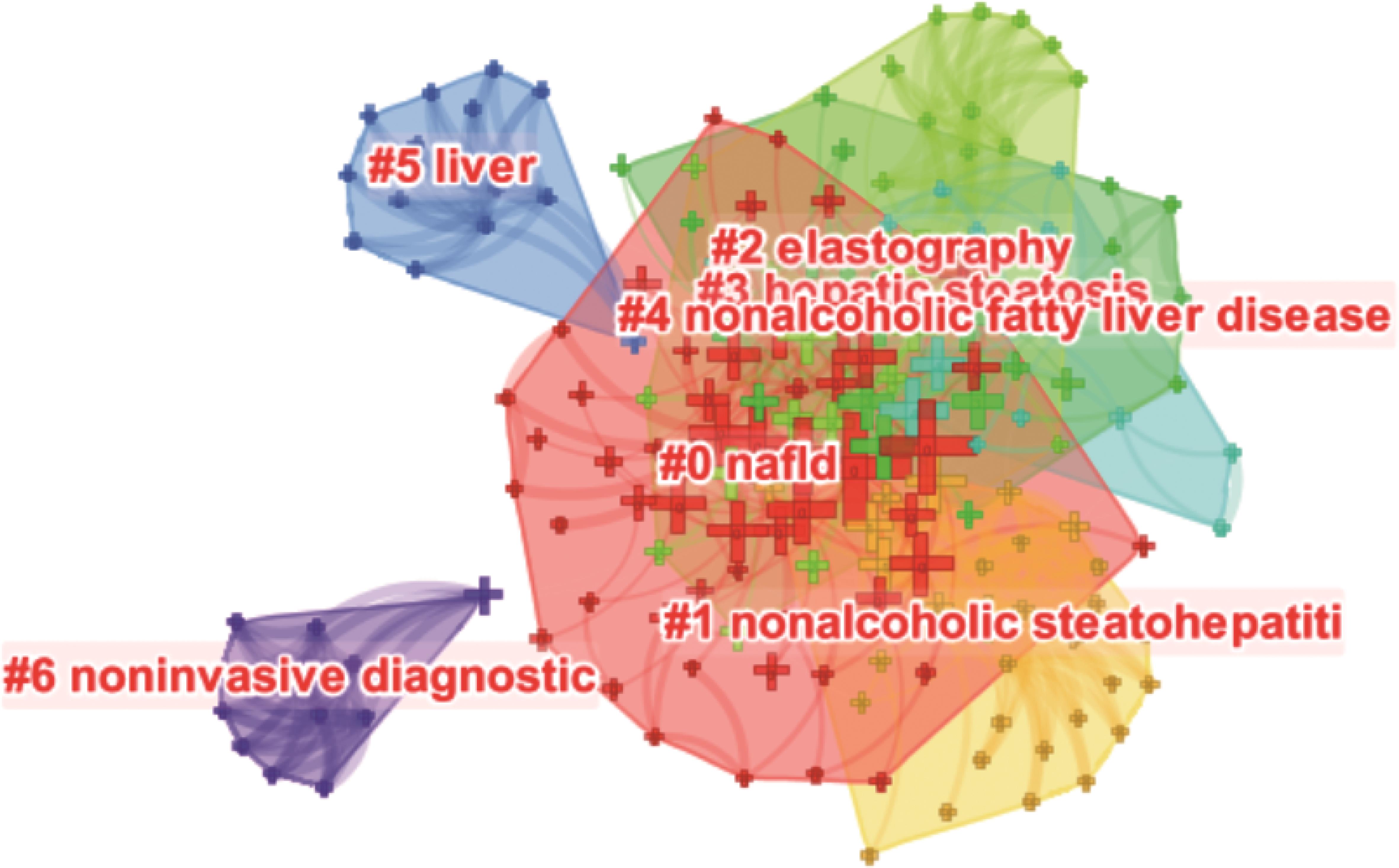 Keyword clustering. Through cluster analysis, seven clusters were obtained, including NAFLD, nonalcoholic steatohepatitis, elastography, hepatic steatosis, nonalcoholic fatty liver disease, liver, and noninvasive diagnostic.