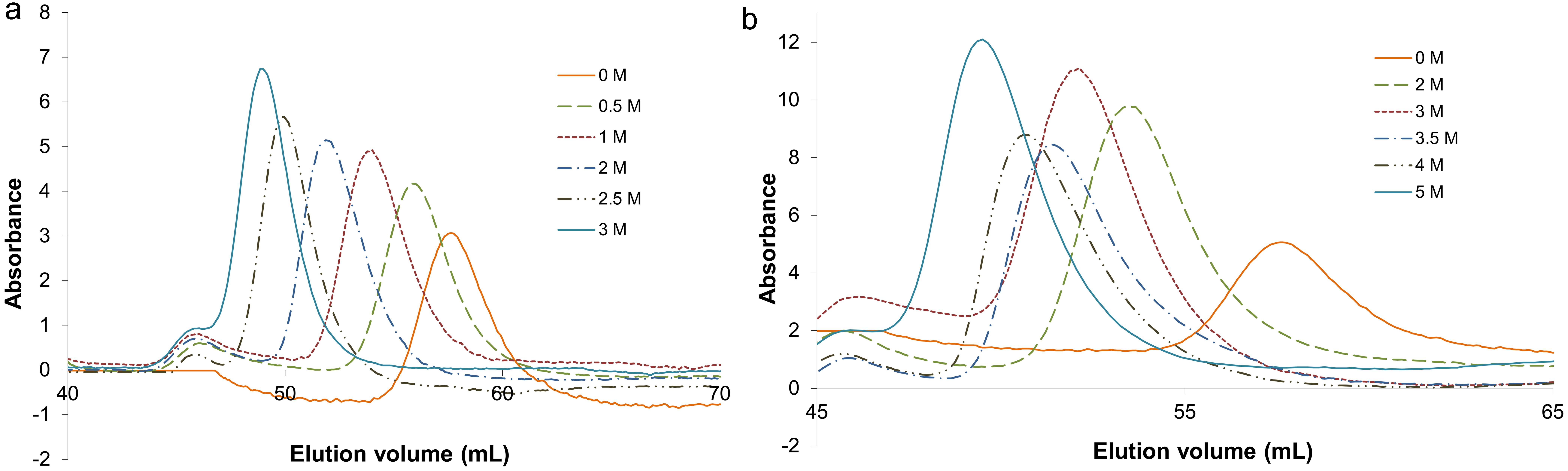 <italic>CRP<sub>Mt</sub></italic> unfolding in the presence of two different chaotropic agents monitored by gel filtration chromatography.