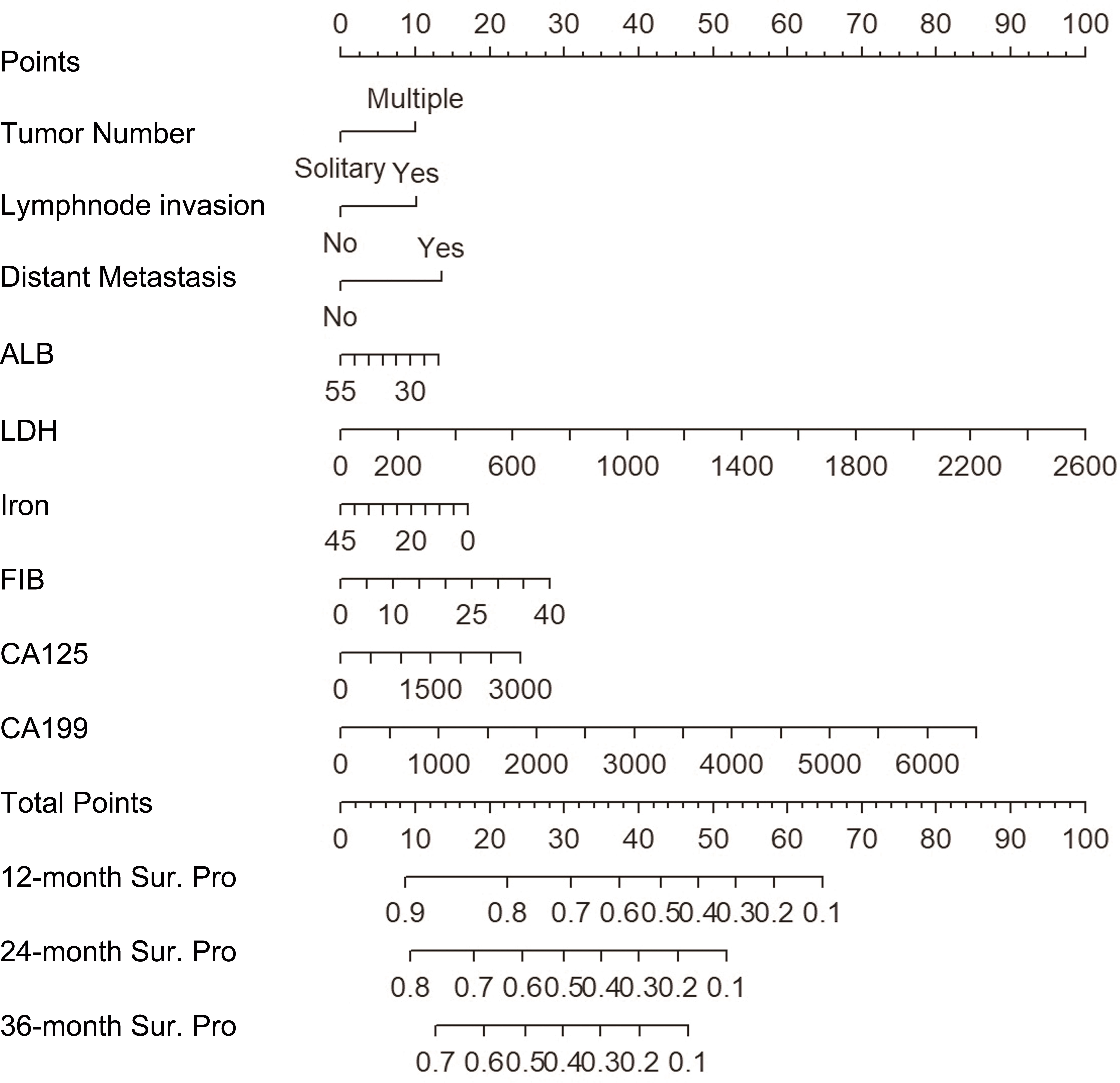 Nomogram for prediction of survival probability at 12, 24 and 36 months.