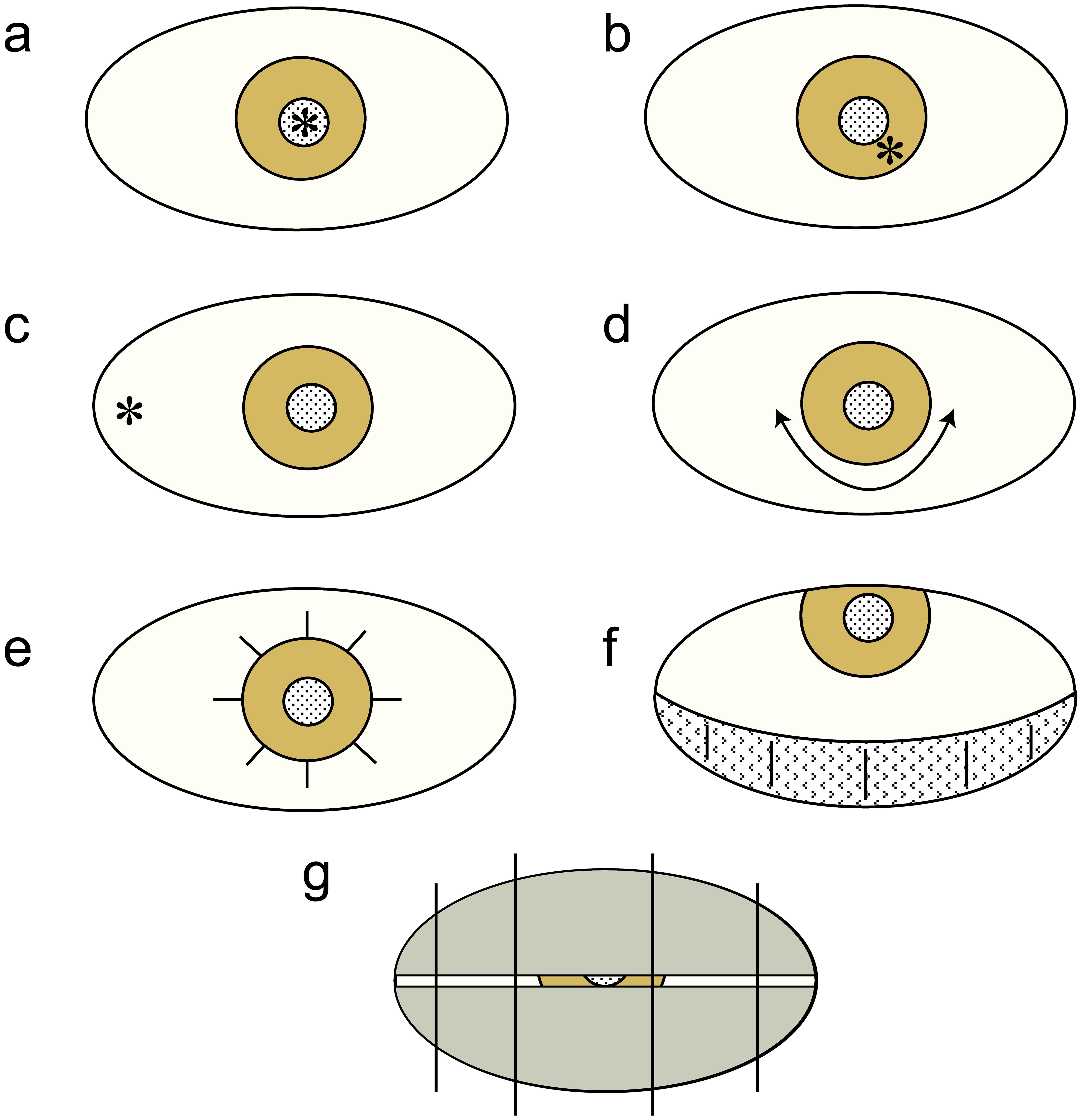 Different modes of application of laser irradiation to the eye.