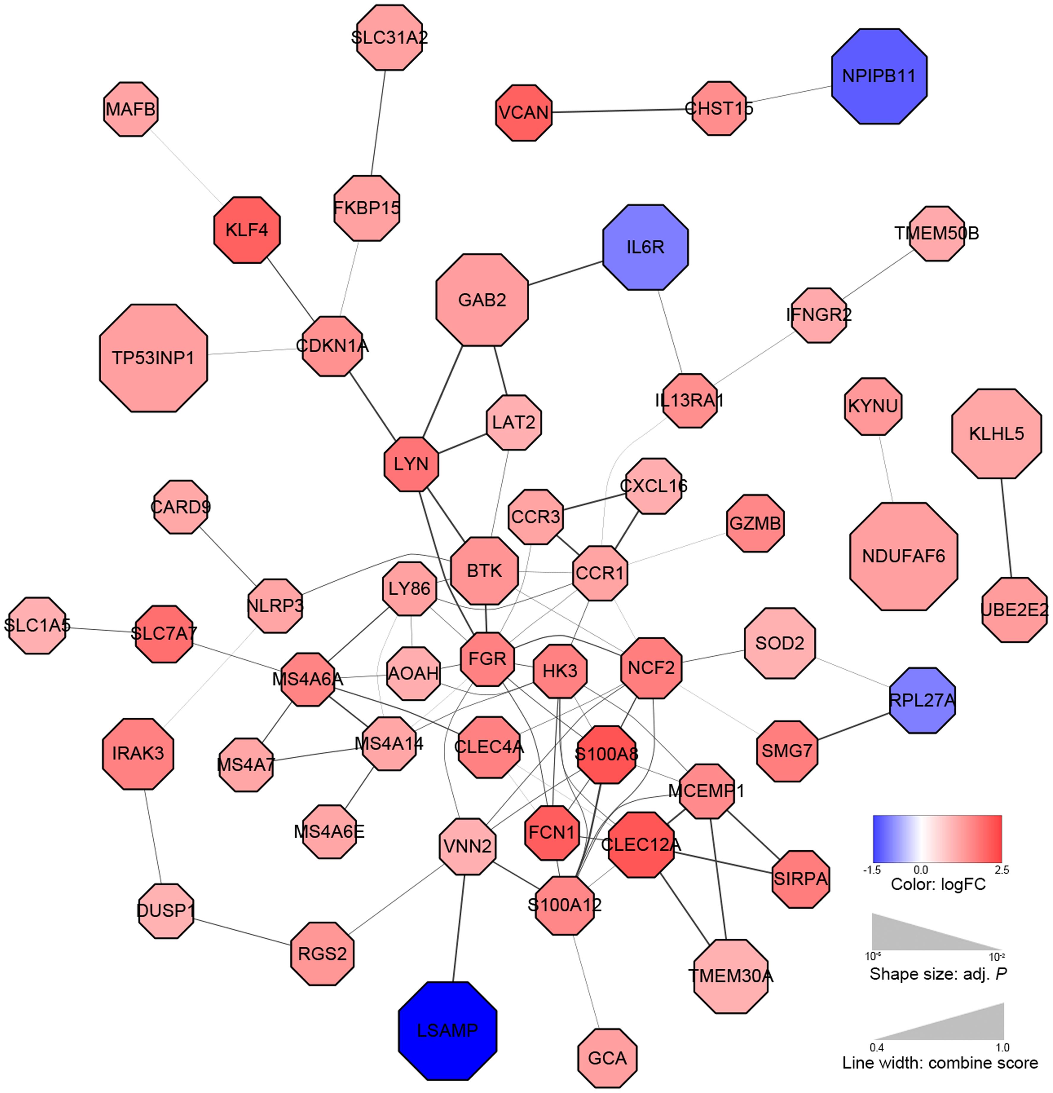 The protein-protein interaction (PPI) network of differentially expressed genes (DEGs) in the immune non-responder (INR) group vs. healthy control (HC) group.