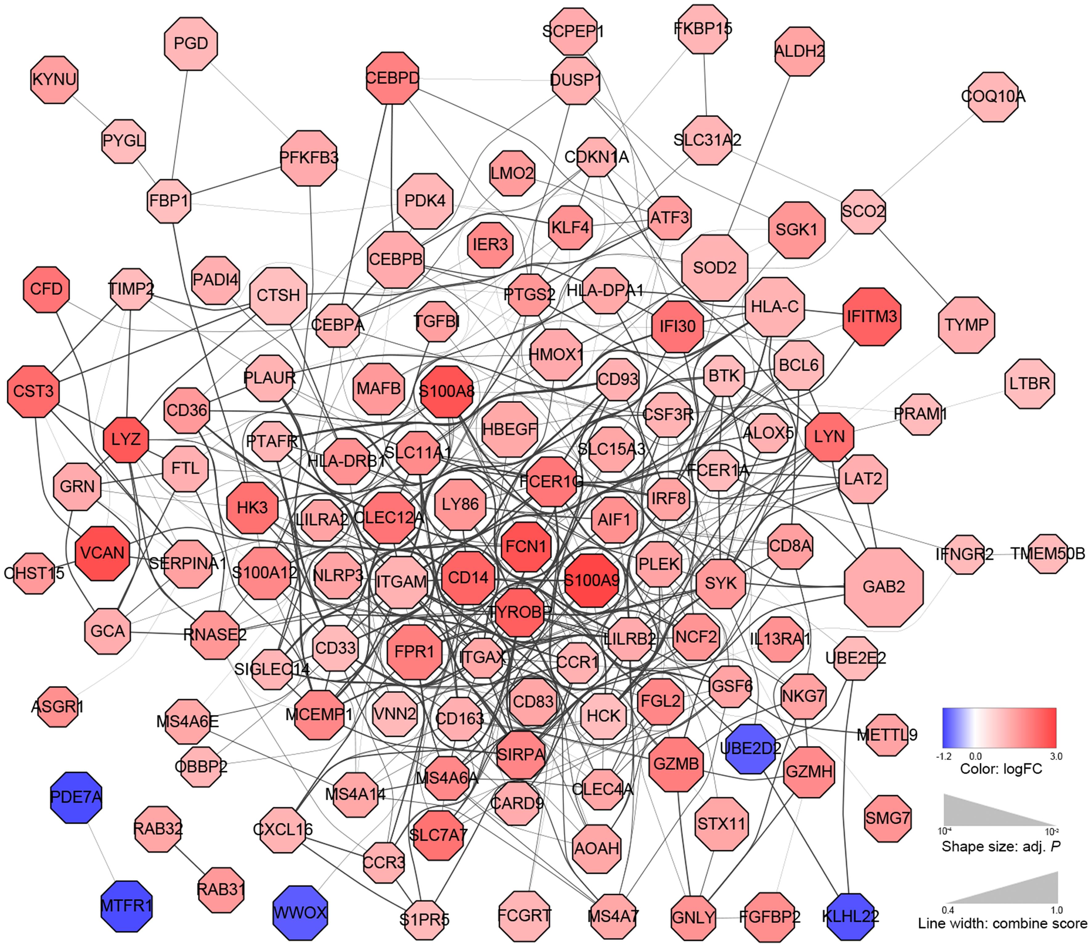 The protein-protein interaction (PPI) network of differentially expressed genes (DEGs) in the immune responder (IR) group vs. healthy control (HC) group.