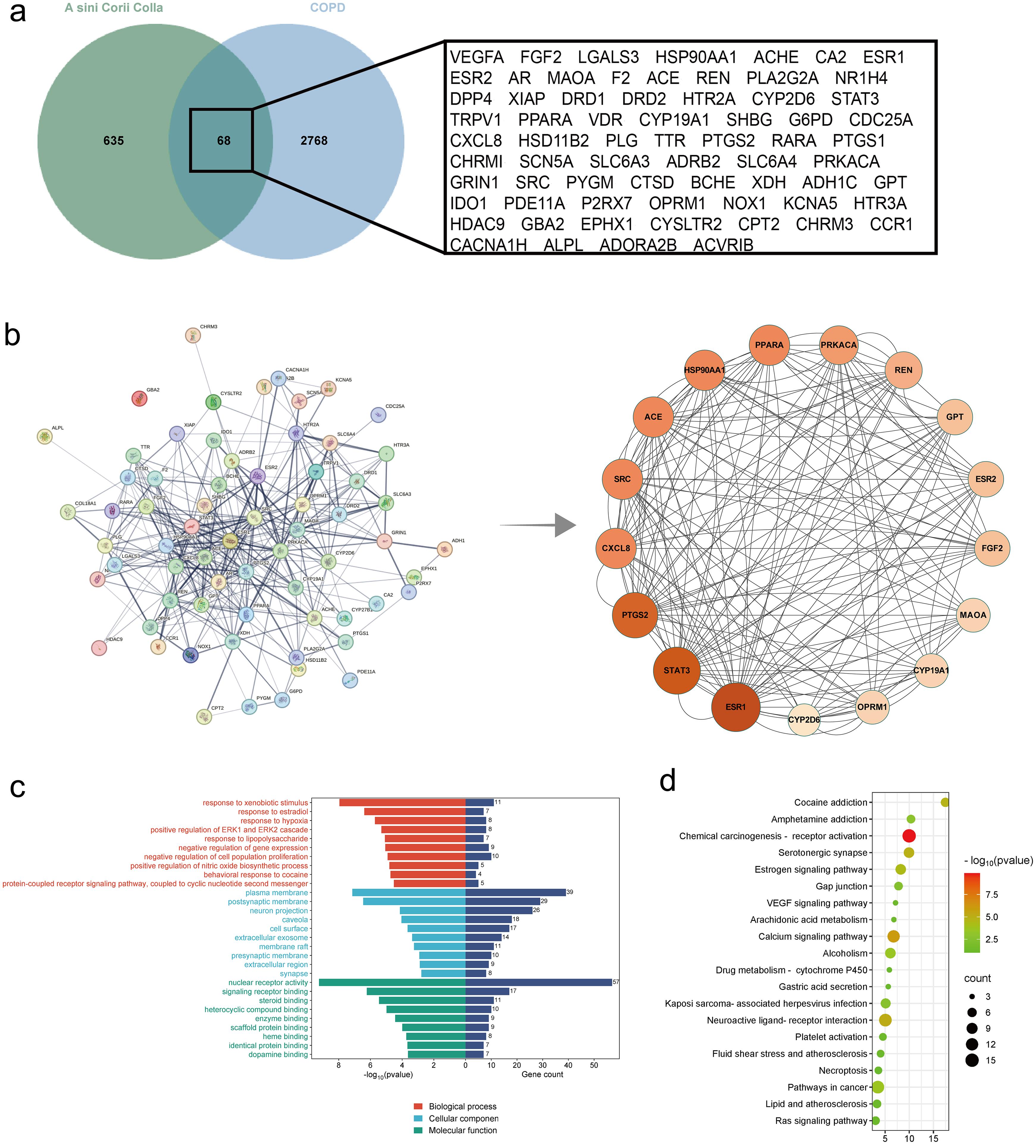 Network pharmacology suggests the potential mechanism of Ejiao in regulating chronic obstructive pulmonary disease.