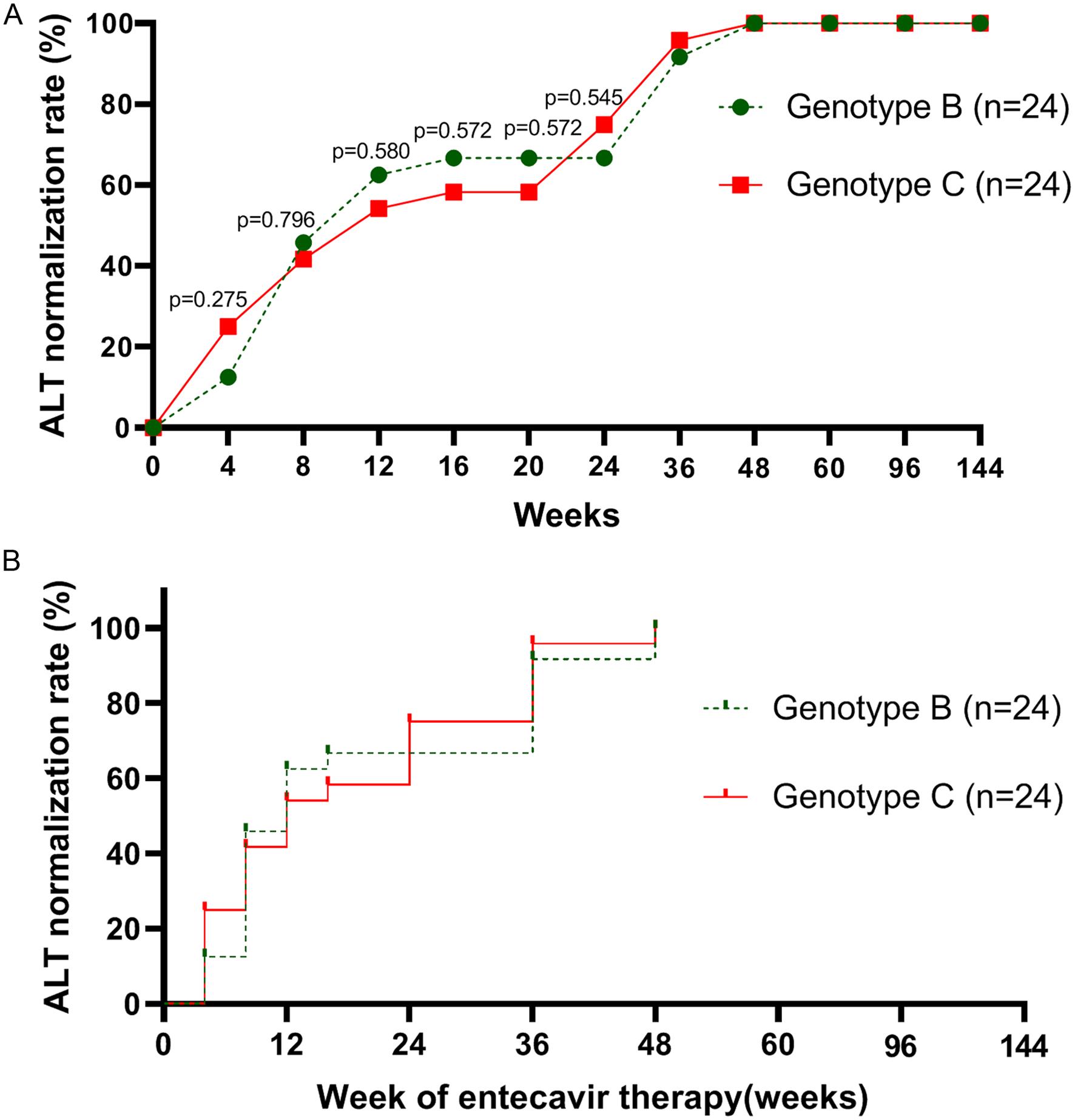 Biochemical response, or ALT normalization (<italic>i.e</italic>., reduction of ALT to ≤ 40 IU/mL), after 144-week treatment with entecavir in HBeAg-positive patients with HBV genotypes B and C (A), and Kaplan–Meier plot of ALT normalization with log-rank χ<sup>2</sup> = 0.232 and <italic>P</italic> = 0.630 (B).