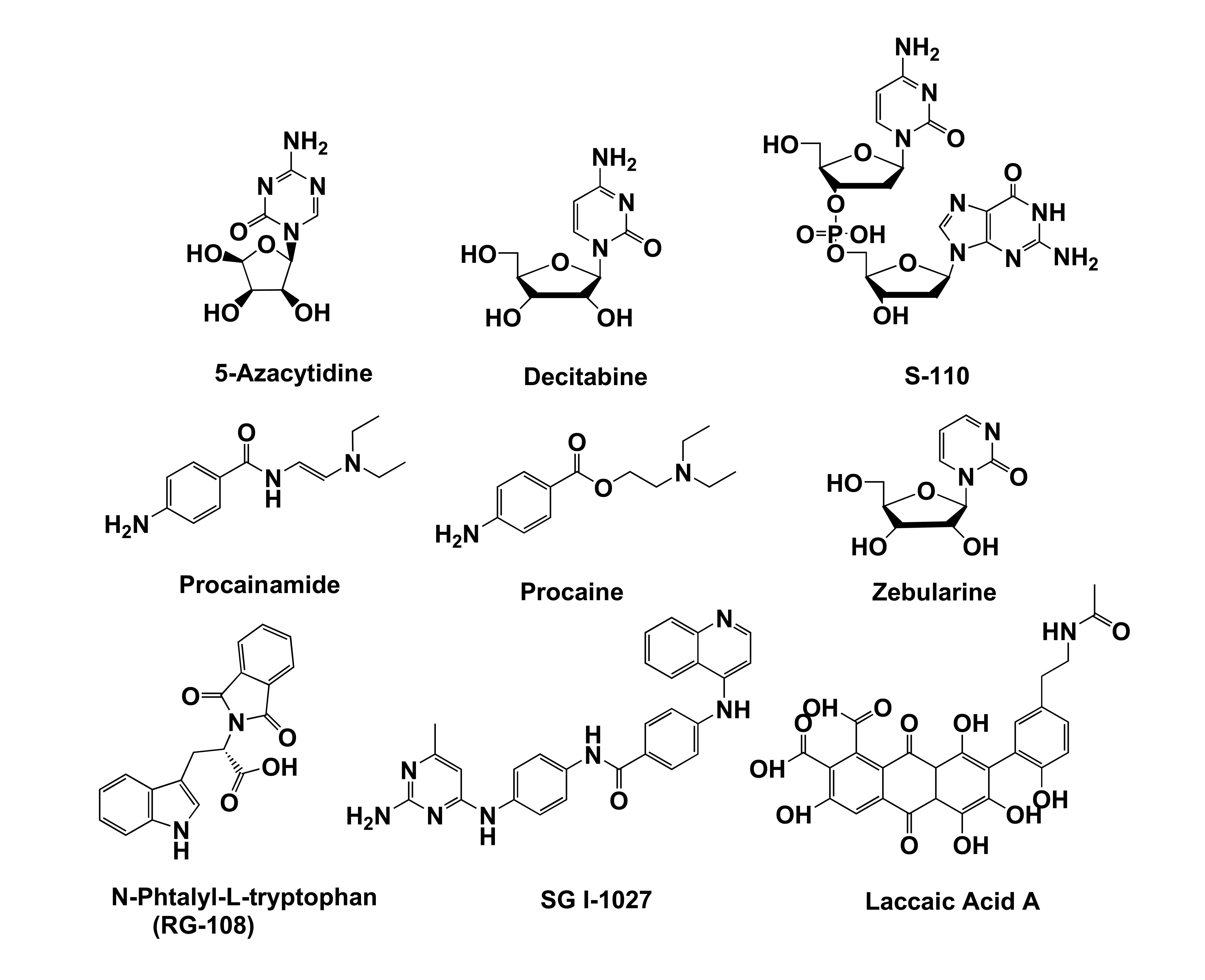Synthetic demethylating (hypomethylating) molecules.
