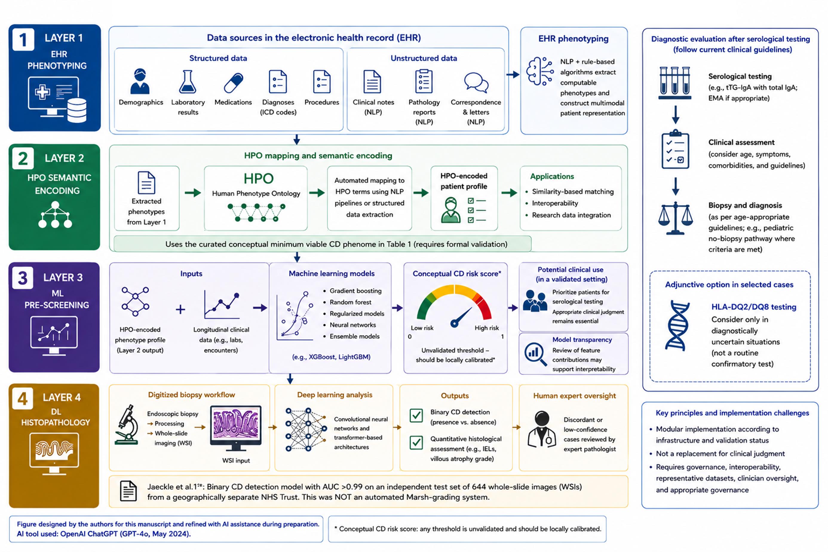 Four-layer AI implementation framework for celiac disease precision diagnostics.
