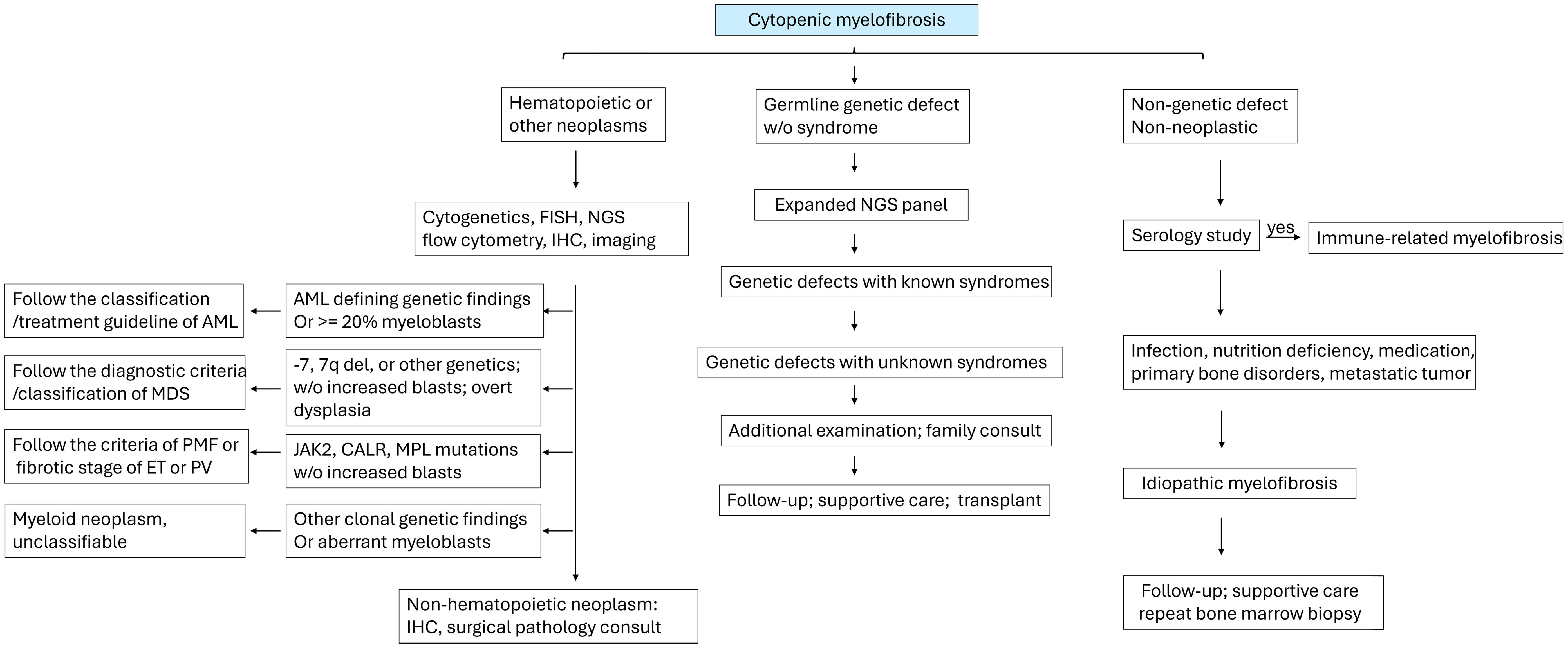 An integrated diagnostic algorithm for pediatric myelofibrosis.