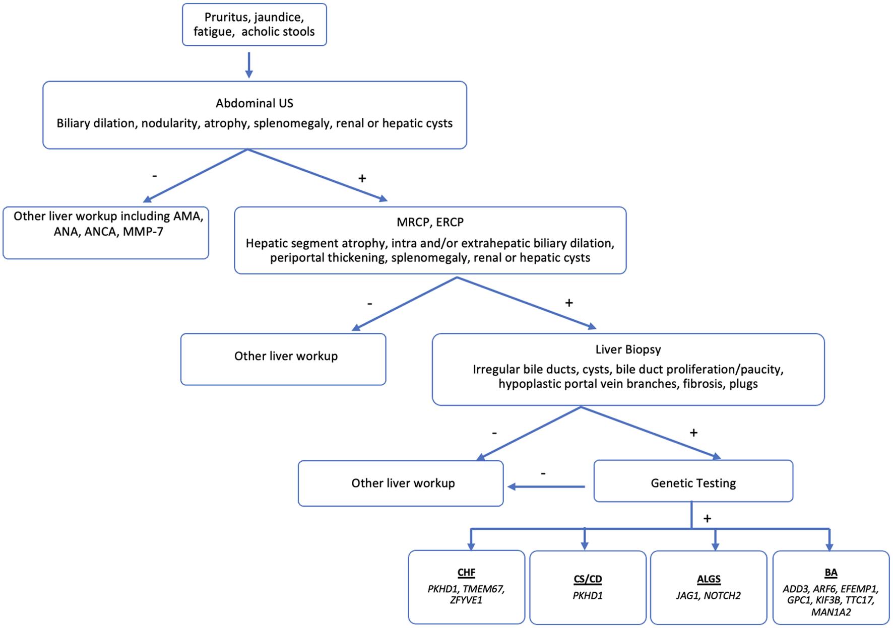 An algorithm for the evaluation of chronic cholestatic liver disease.
