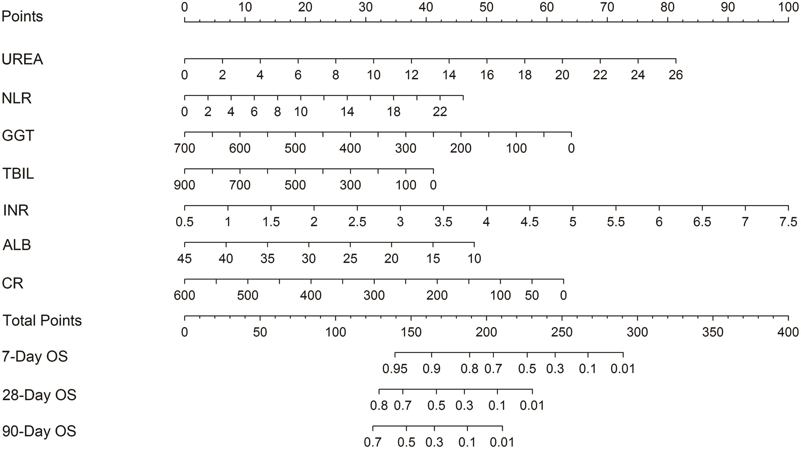 The nomogram for HEV-ALF patients’ 7-day, 28-day and 90-day mortality, including UREA, NLR, GGT, TBIL, INR, ALB, and CR levels.