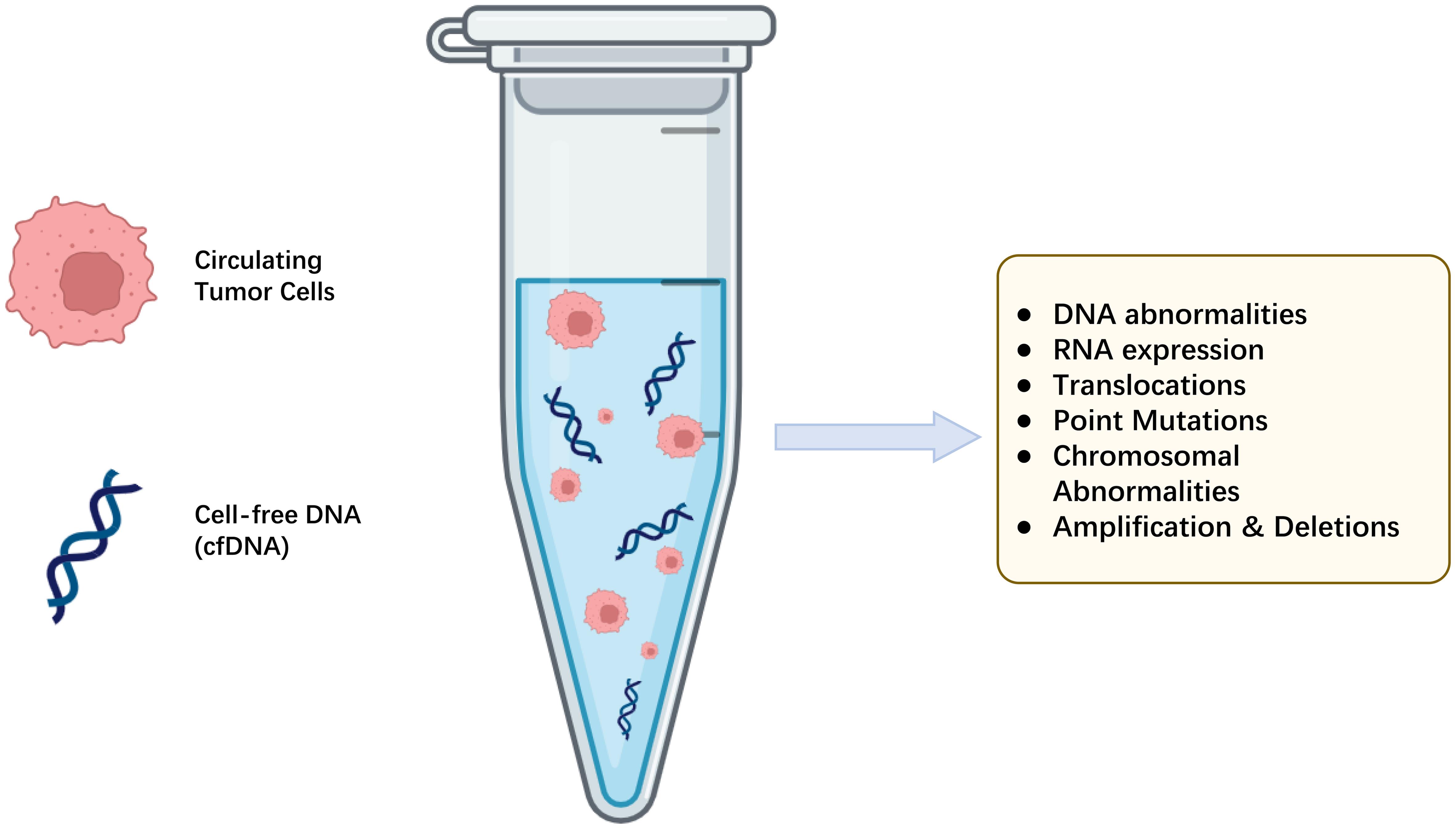 Liquid Biopsy use for cancer therapy.
