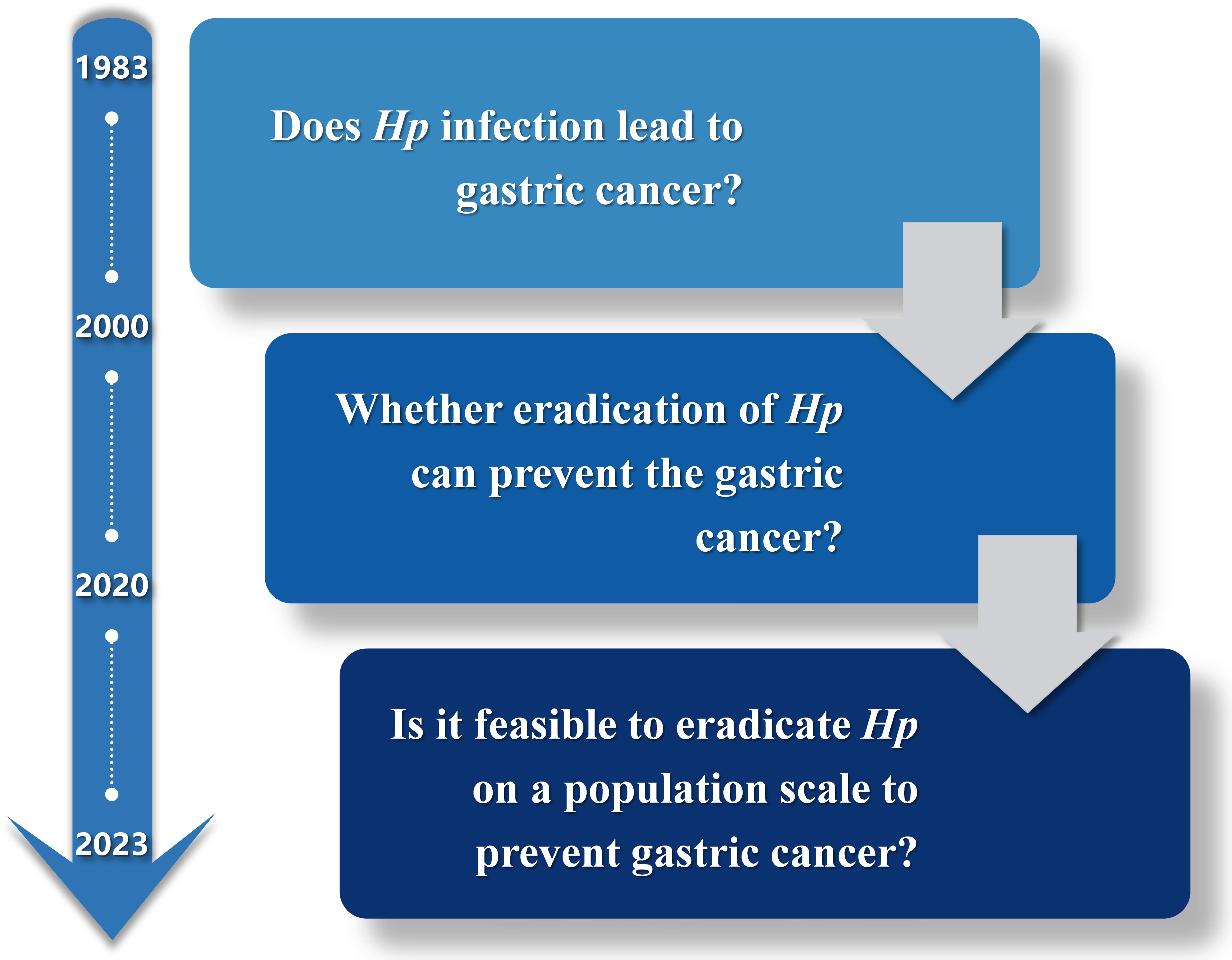 Main topics of investigations of the relationship between <italic>Helicobacter pylori infection</italic> and gastric cancer.