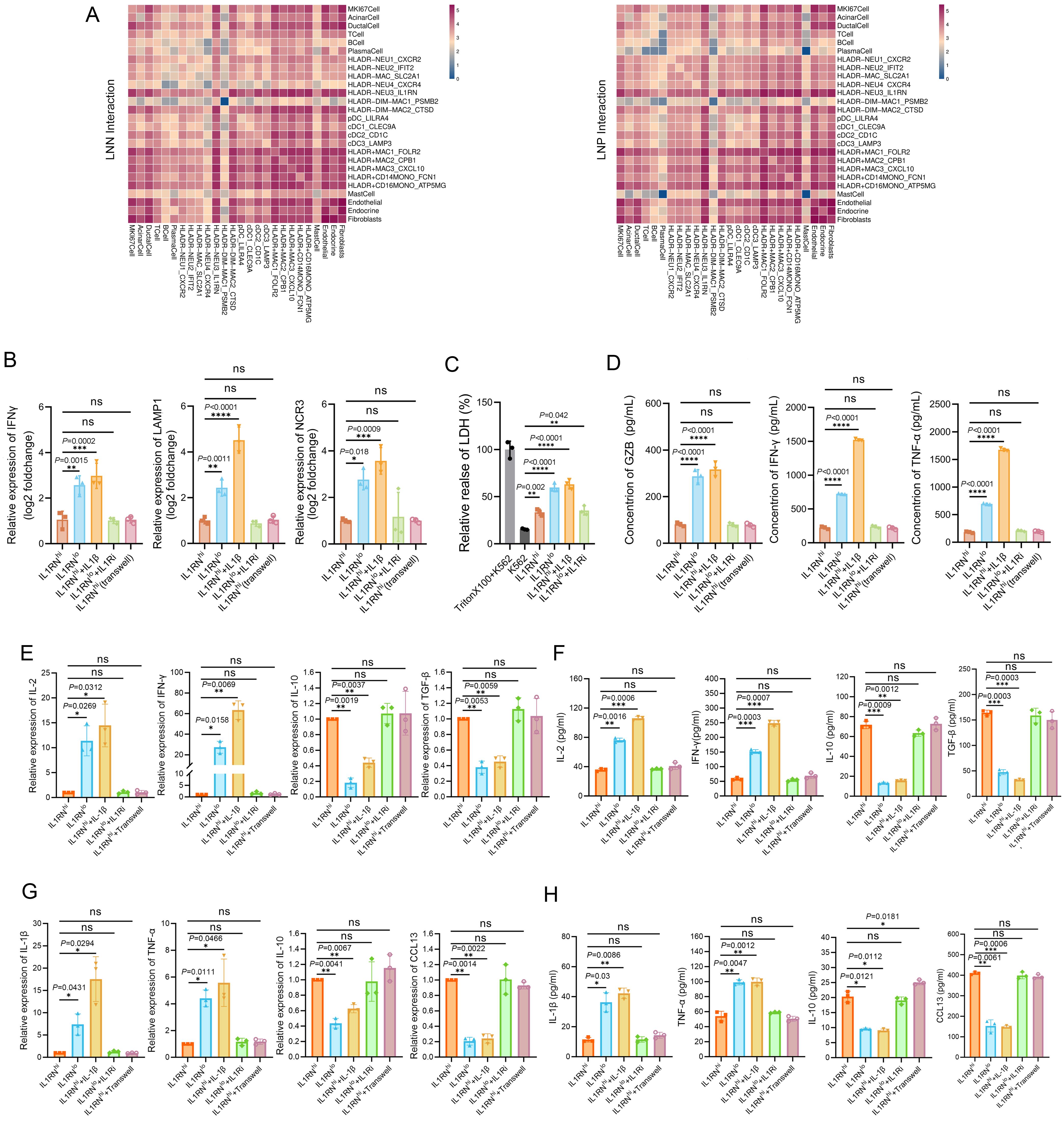 <italic>IL1RN</italic><sup>+</sup> MDSCs contribute to the establishment of an immunosuppressive microenvironment in PDAC.