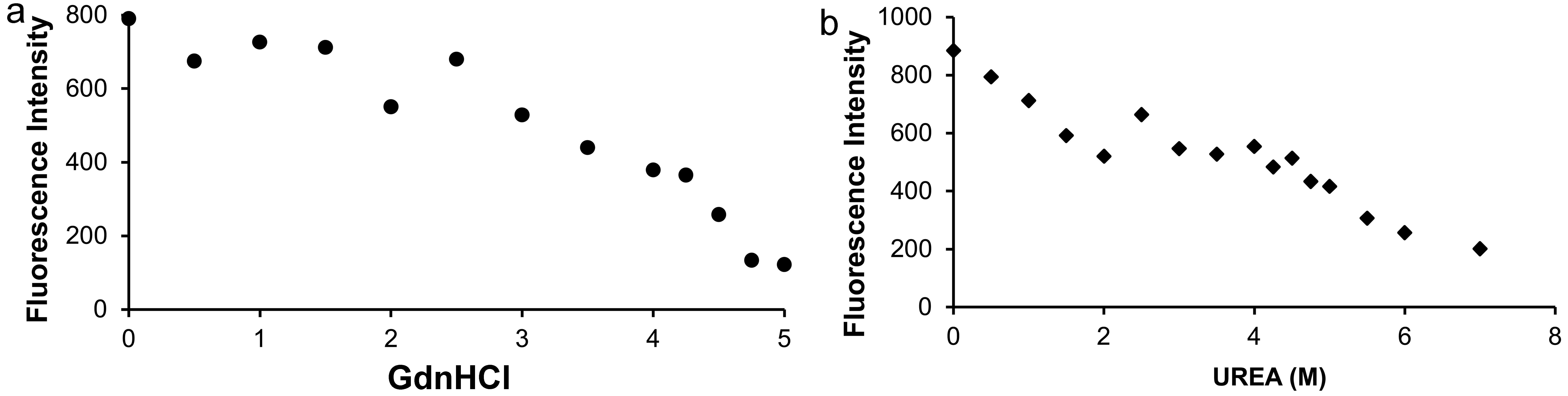 <italic>CRP<sub>Mt</sub></italic> unfolding and ANS binding. The graph representing ANS binding (represented by the change in fluorescence intensity at 490 nm) at increasing concentrations of (a) GdnHCl and (b) urea.