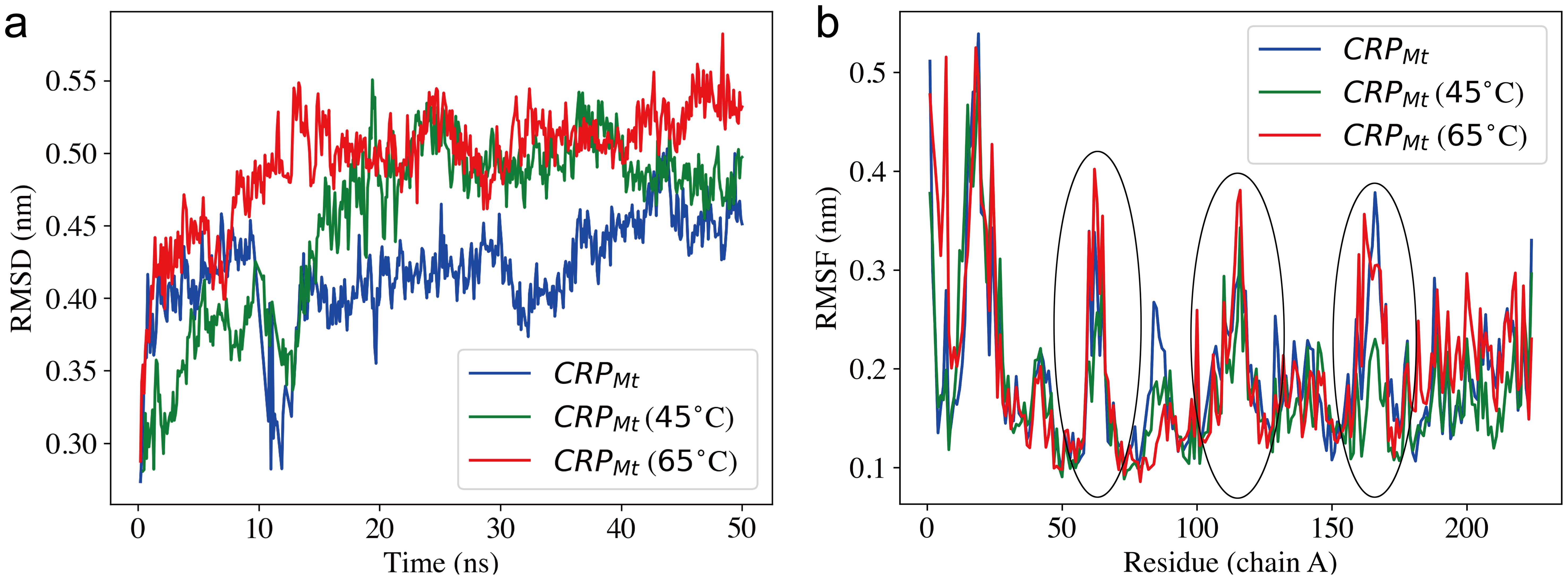 Structural deviations observed during simulations, comparing <italic>CRP<sub>Mt</sub></italic> at room temperature with the protein at two different temperatures (45 and 65°C), using (a) Root mean square deviations (RMSD) vs. time (shows the overall structural deviations) and (b) Root mean square fluctuations (RMSF) for each residue in chain A.