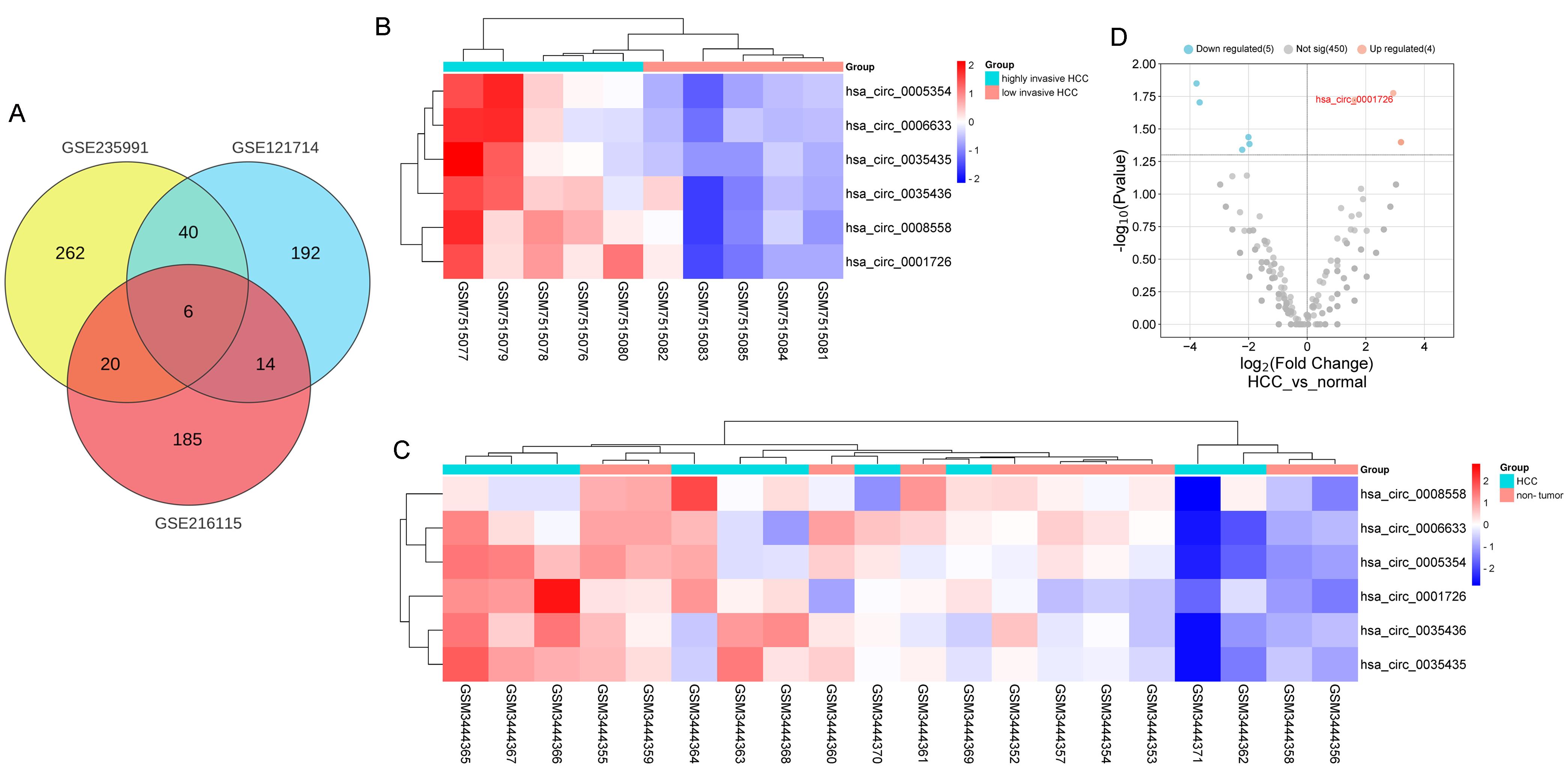 Identification of differentially expressed circRNAs in hepatocellular carcinoma (HCC).