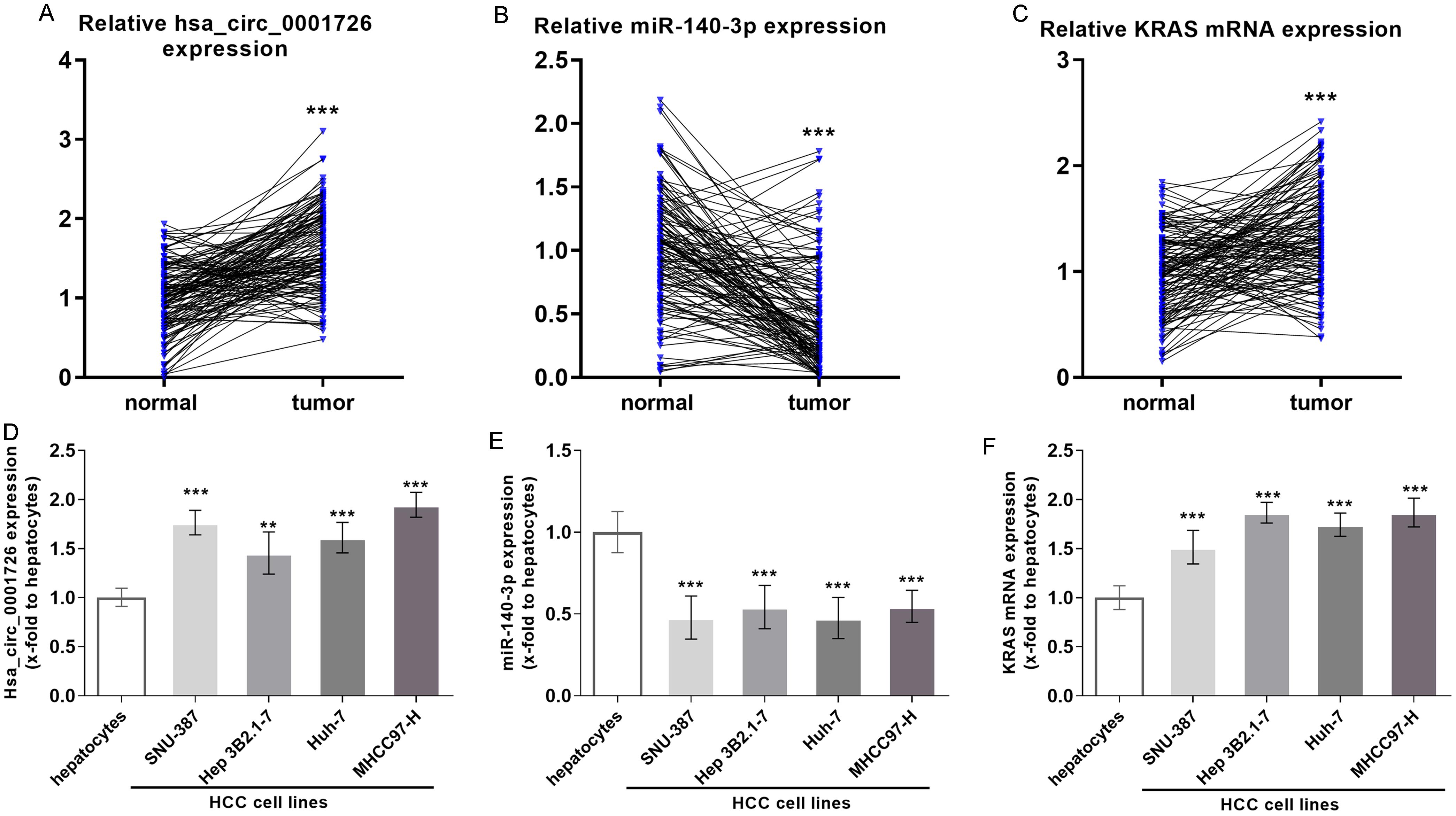 Validation of hsa_circ_0001726, miR-140-3p, and KRAS expression in HCC patients.