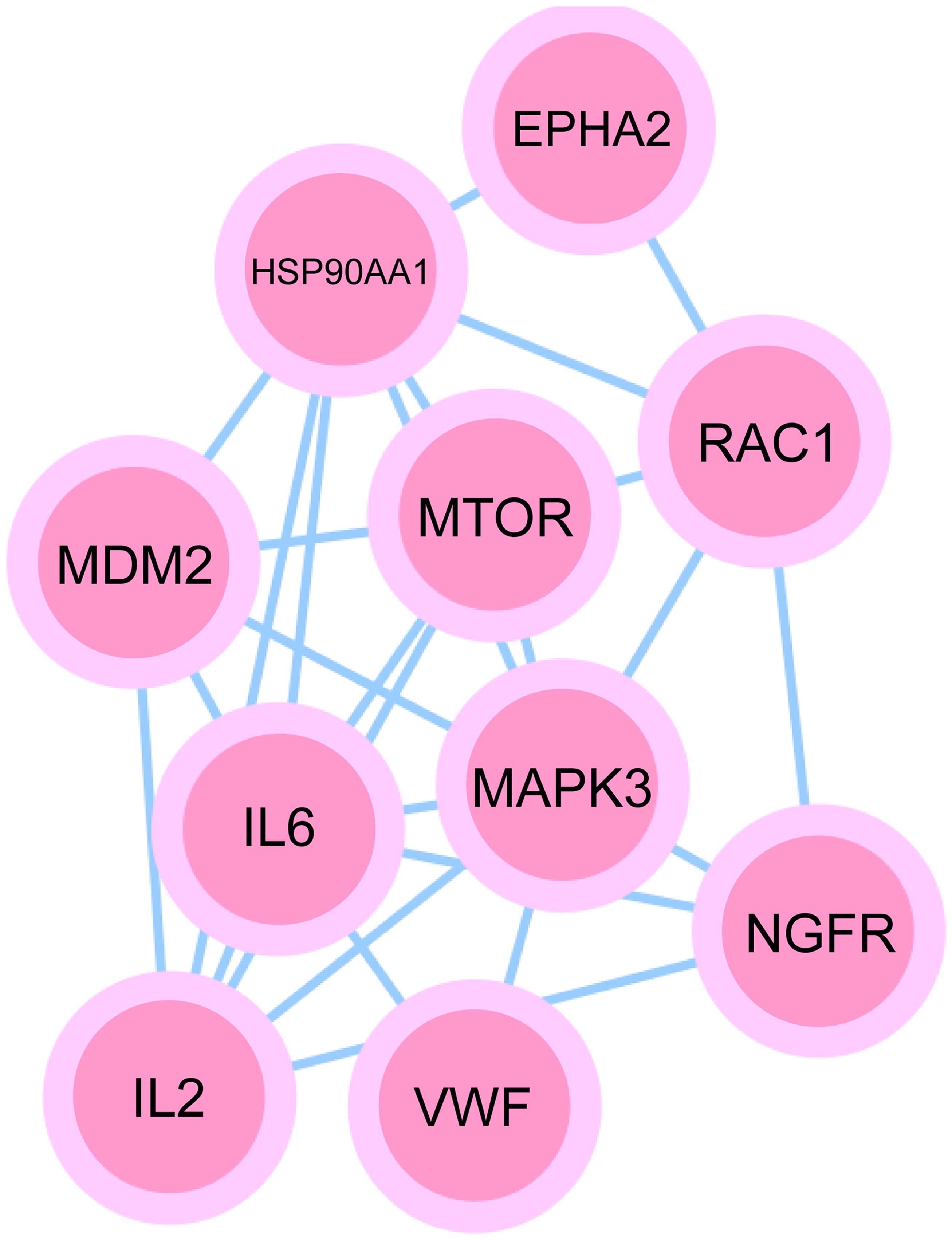 The PI3K-Akt pathway constructed via Cytoscape contains 10 target genes.