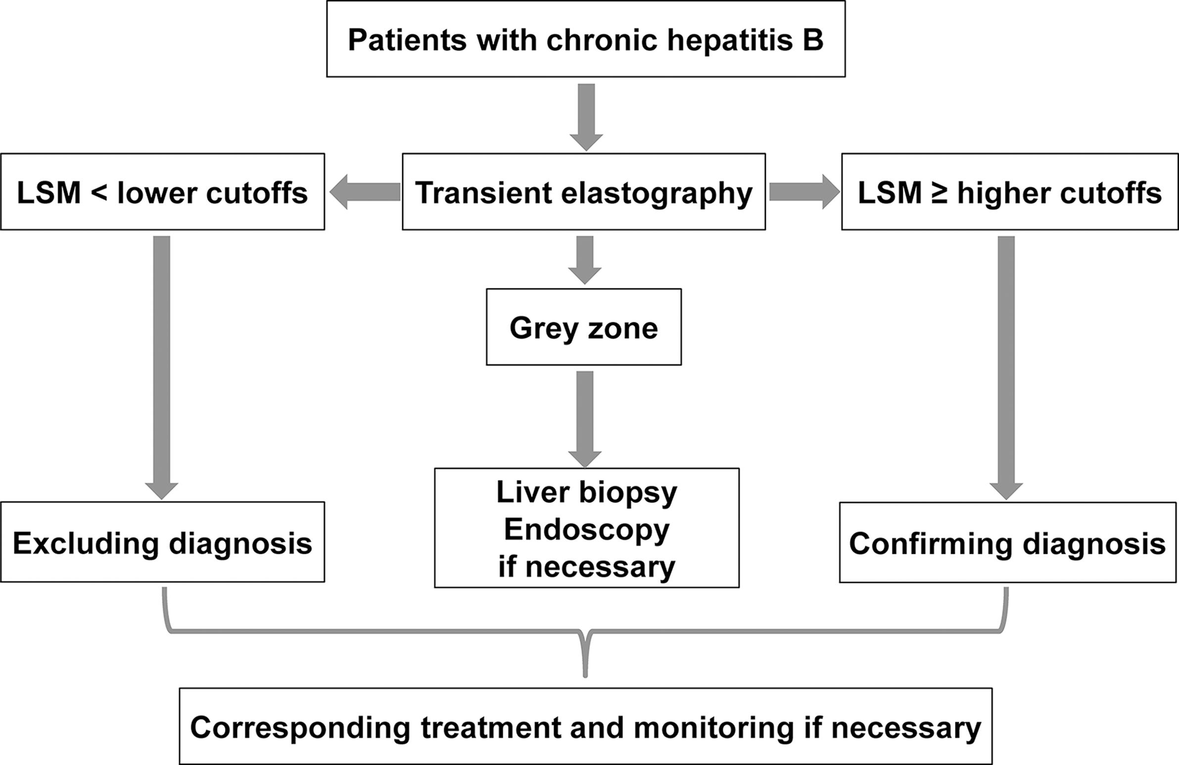 Algorithm and schematic diagram for the adjuvant application of liver stiffness measurement (LSM) by vibration controlled transient elastography for non-invasive diagnosis of liver fibrosis/cirrhosis and portal hypertension in patients with chronic hepatitis B.