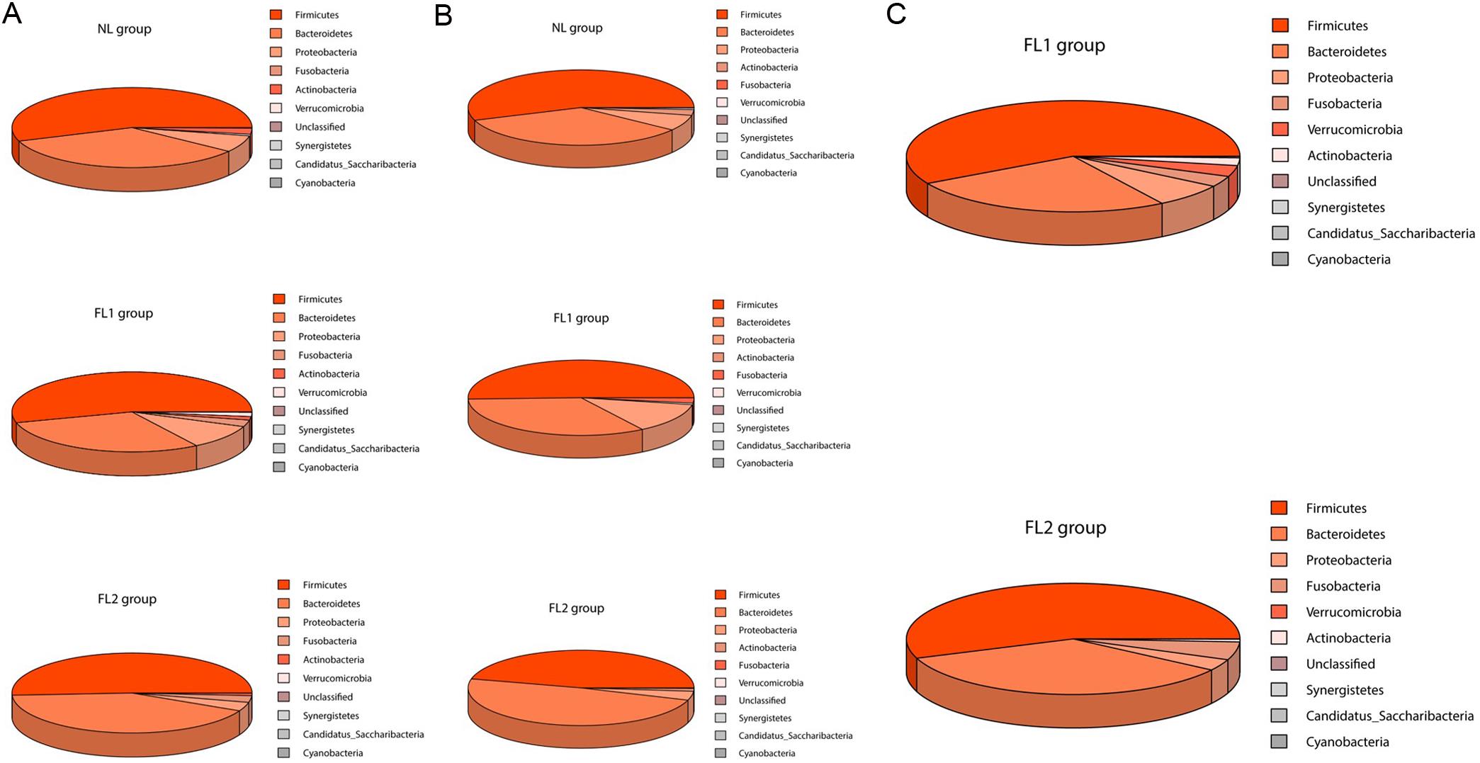 Top 10 bacteria in all patients, hyperlipidemic, and nonhyperlipidemic patient groups.