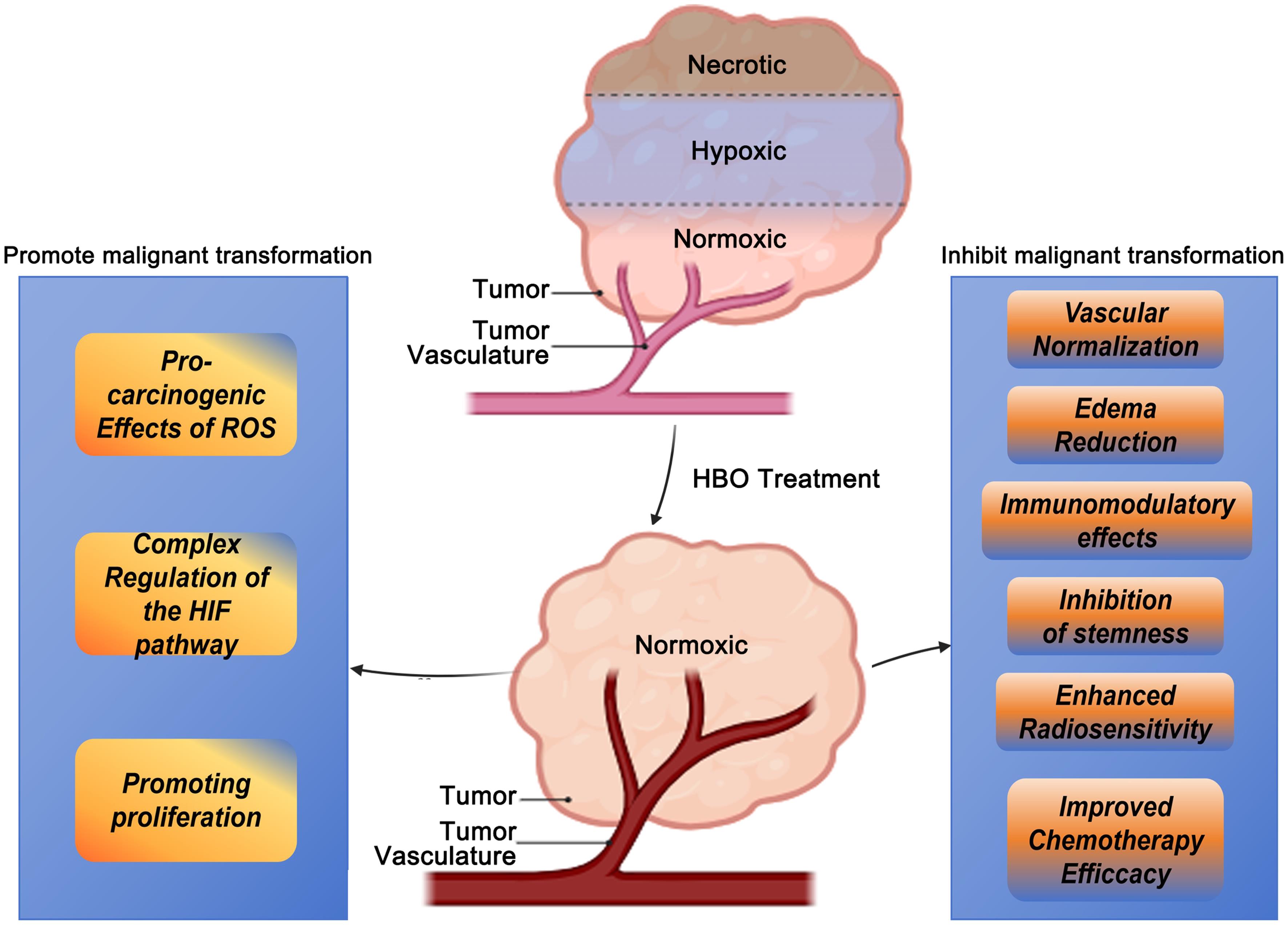 Dual effects of hyperbaric oxygen treatment in glioblastoma.